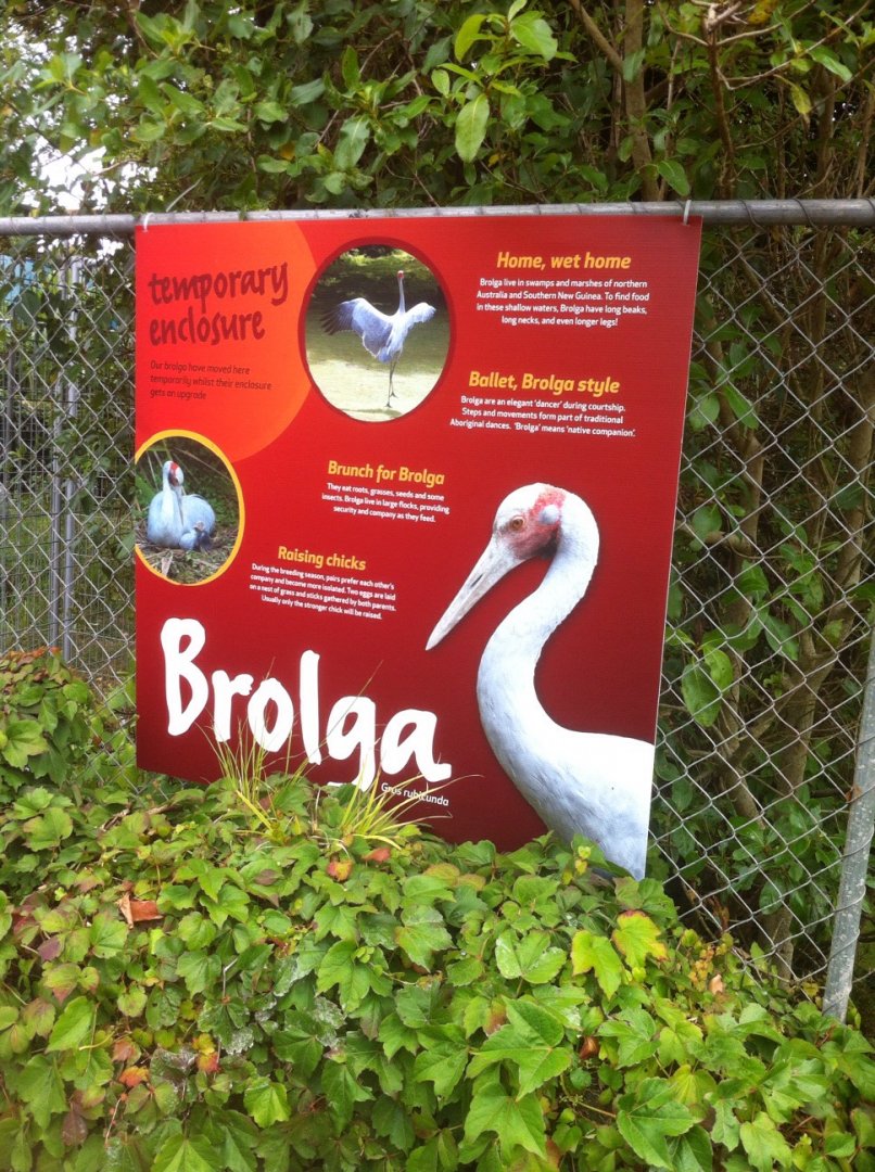 Temporary Brolga Enclosure Sign