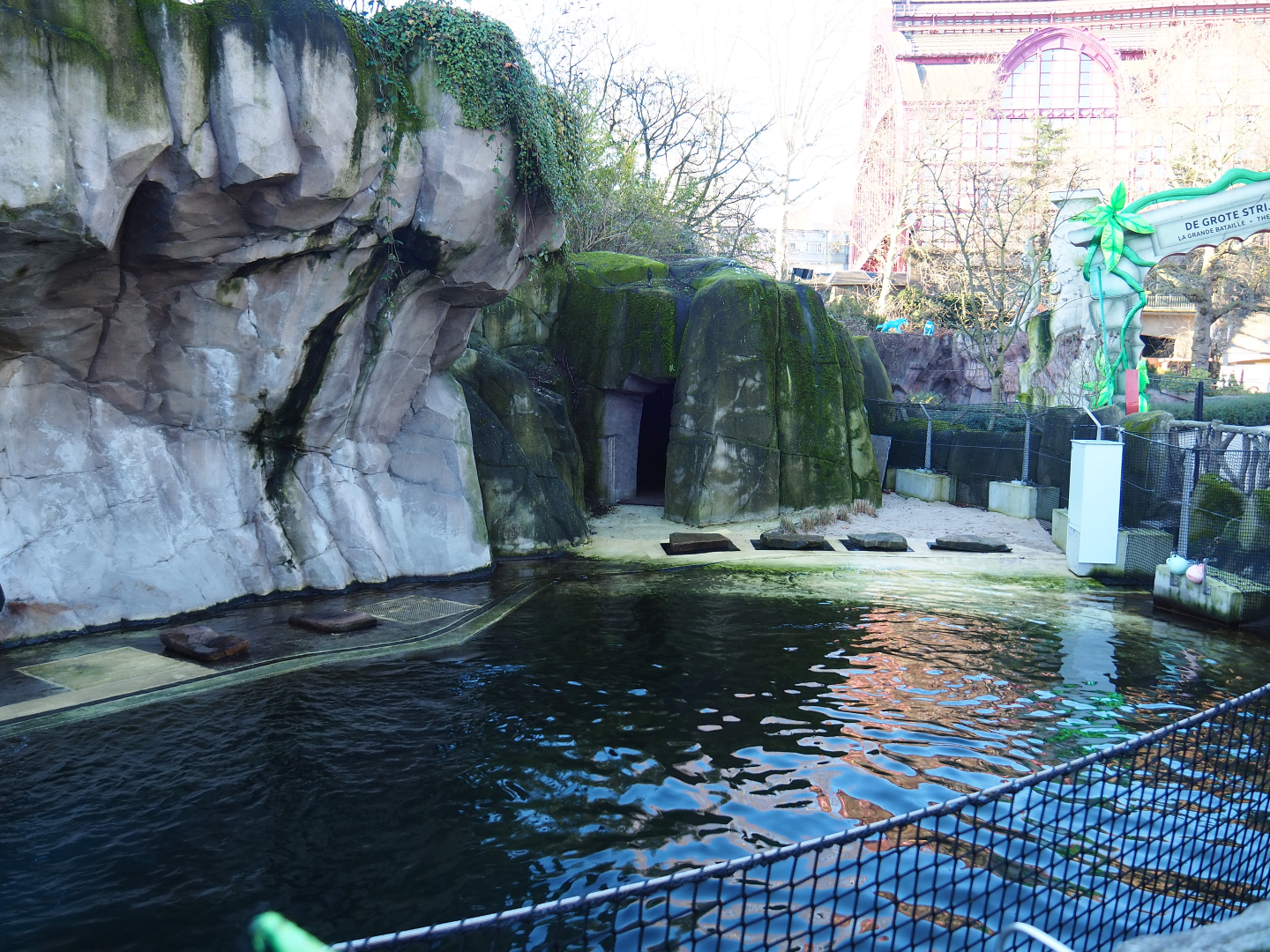Temporary California sea lion exhibit (Normally the main harbor seal exhibit), 2019-12-30