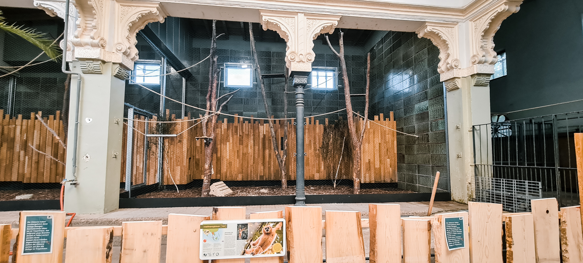 Temporary enclosure for Gibbons in the rhino house