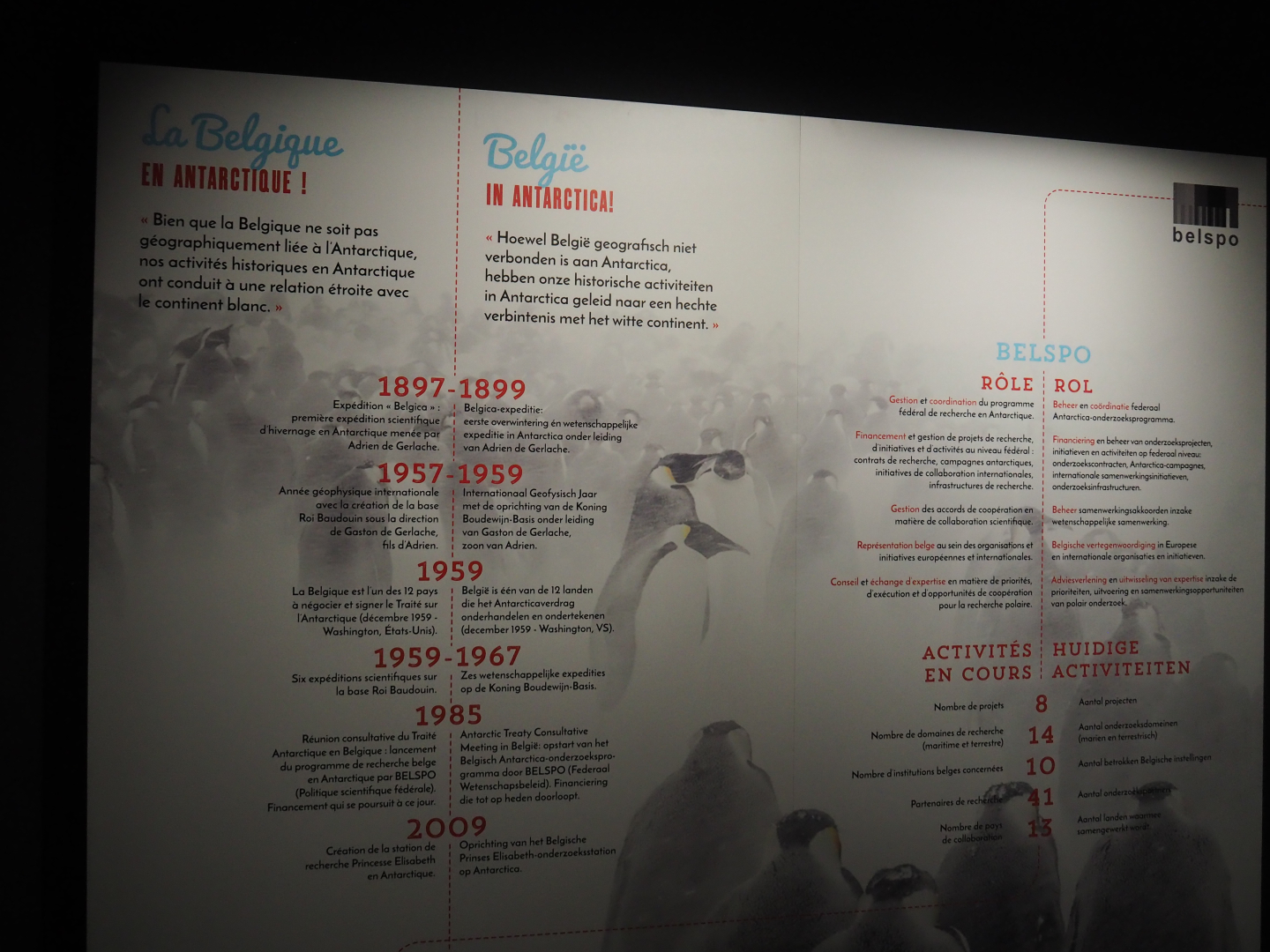 Temporary exhibition 'Antarctica' - Belgium and Antarctica display, 2019-12-03