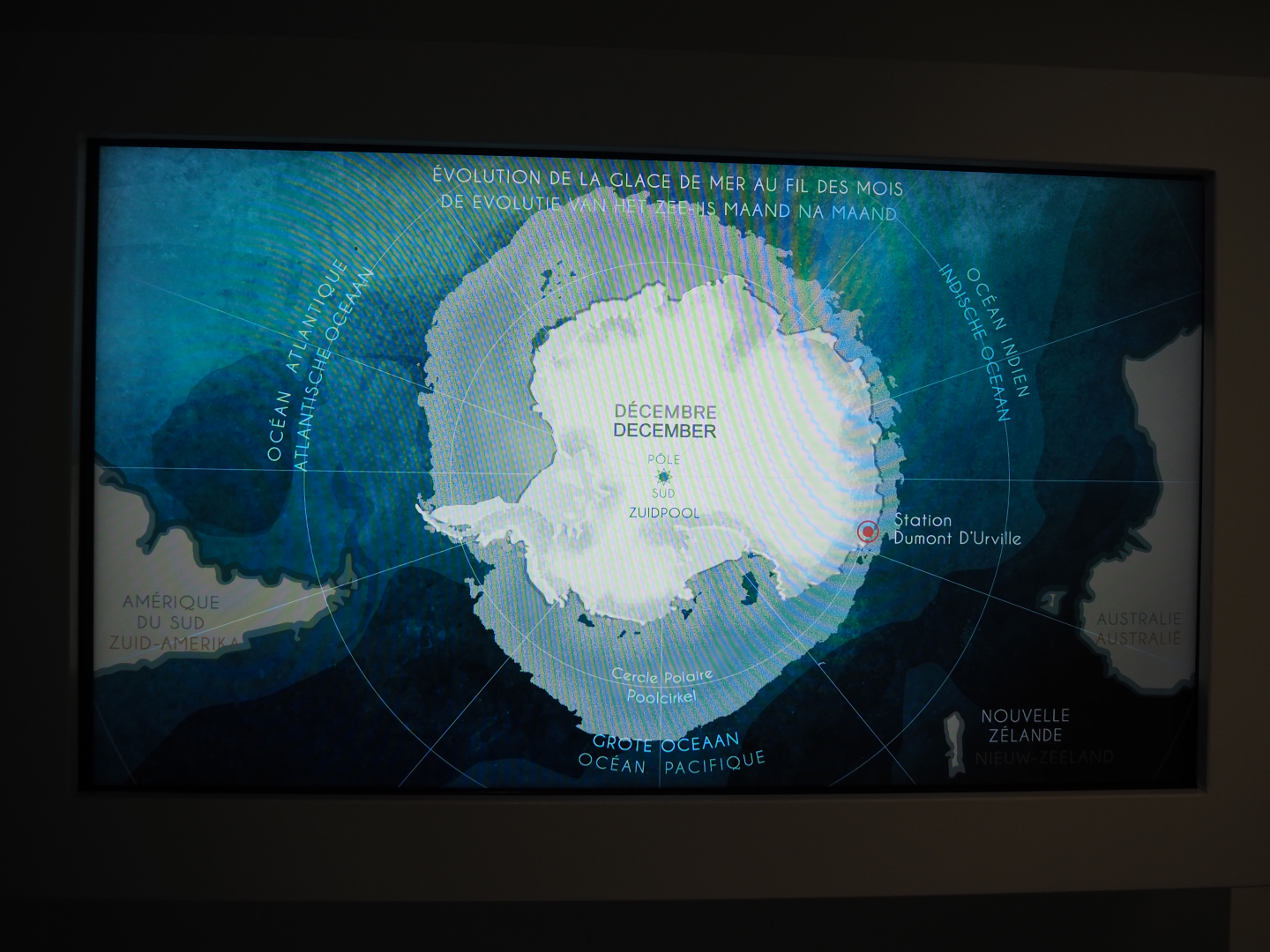 Temporary exhibition 'Antarctica' - Display on Antarctic sea ice, 2019-12-03