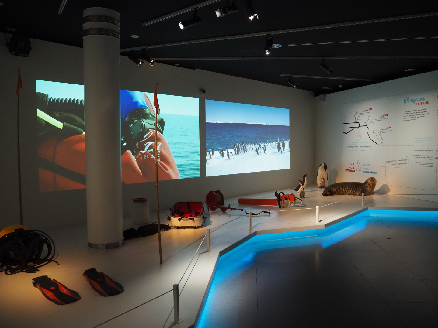 Temporary exhibition 'Antarctica' - Display on diving in Antarctic waters, 2019-12-03