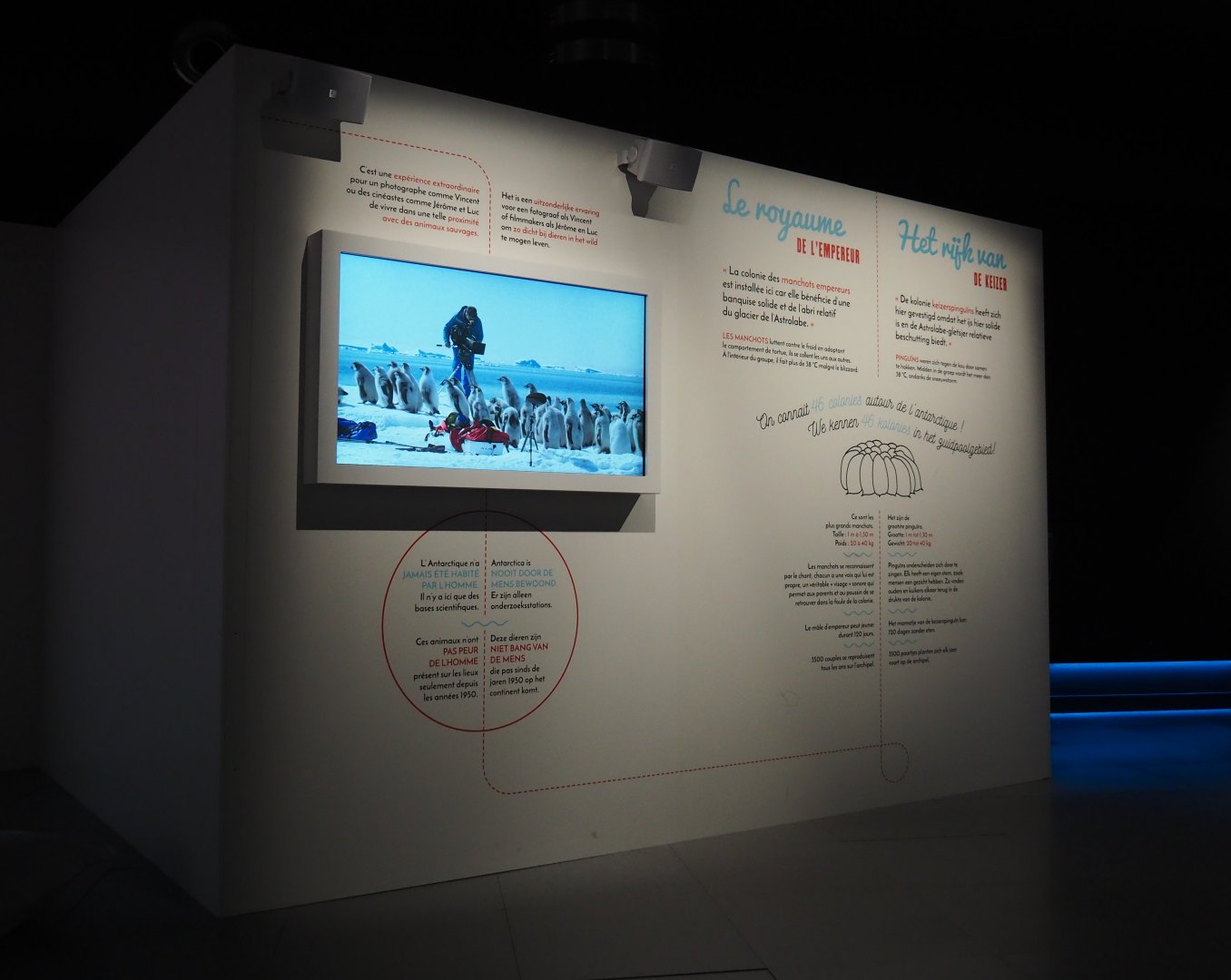 Temporary exhibition 'Antarctica' - Display on emperor penguins, 2019-12-03