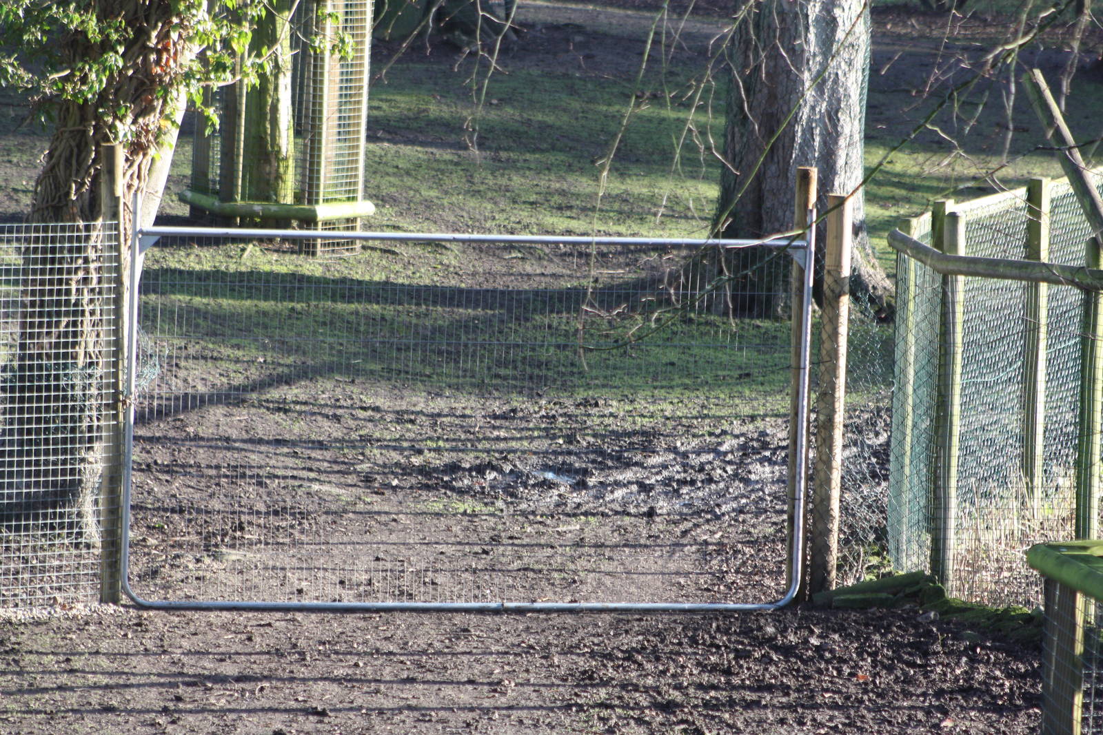 Temporary fencing in South American paddock, 2nd January 2015