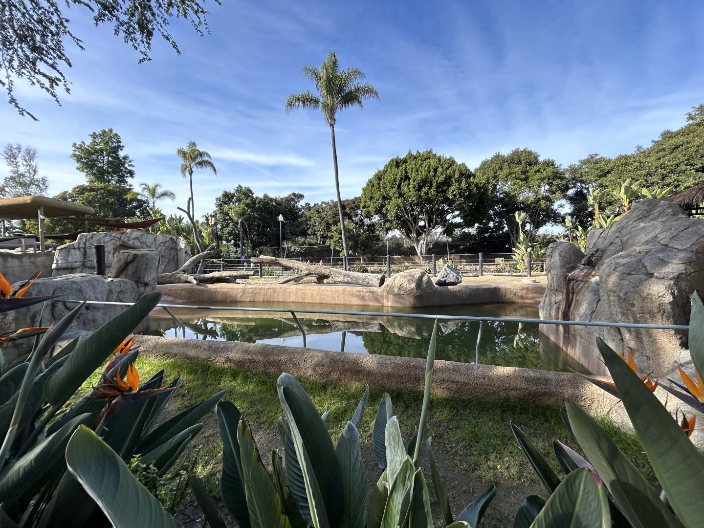 Temporary Hippo Exhibit - Urban Jungle