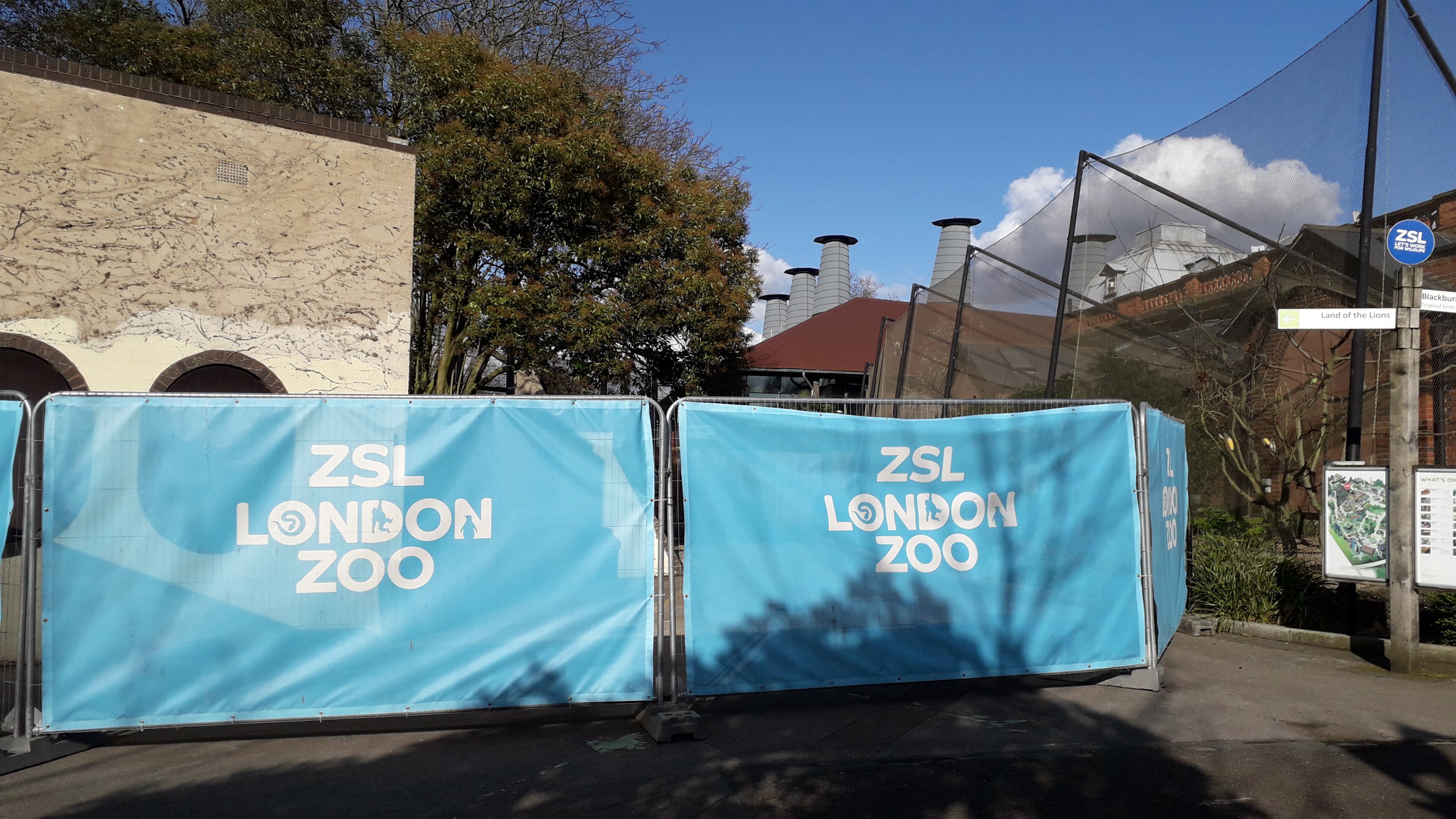 Temporary hoardings behind Land of the Lions