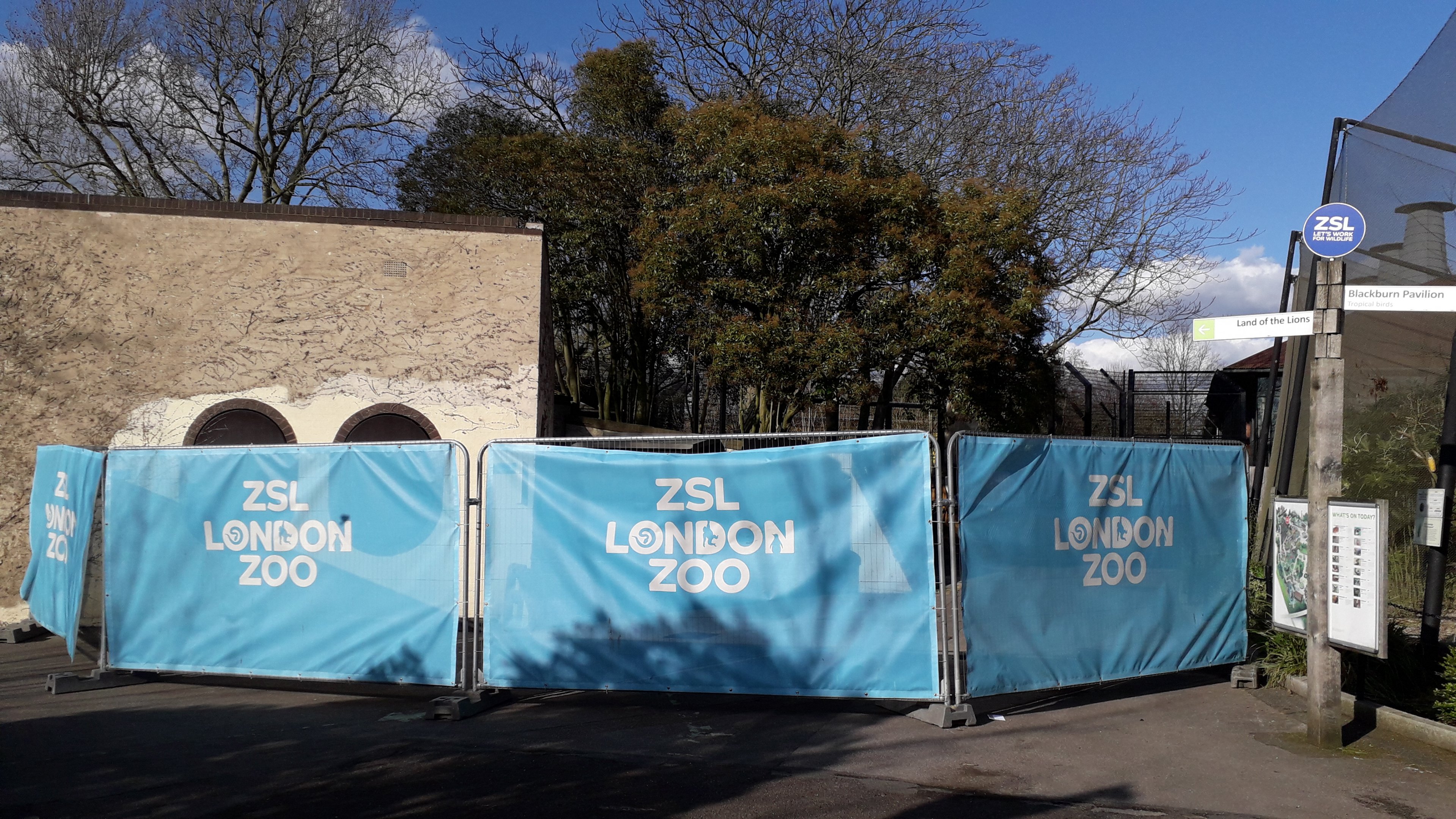 Temporary hoardings behind Land of the Lions