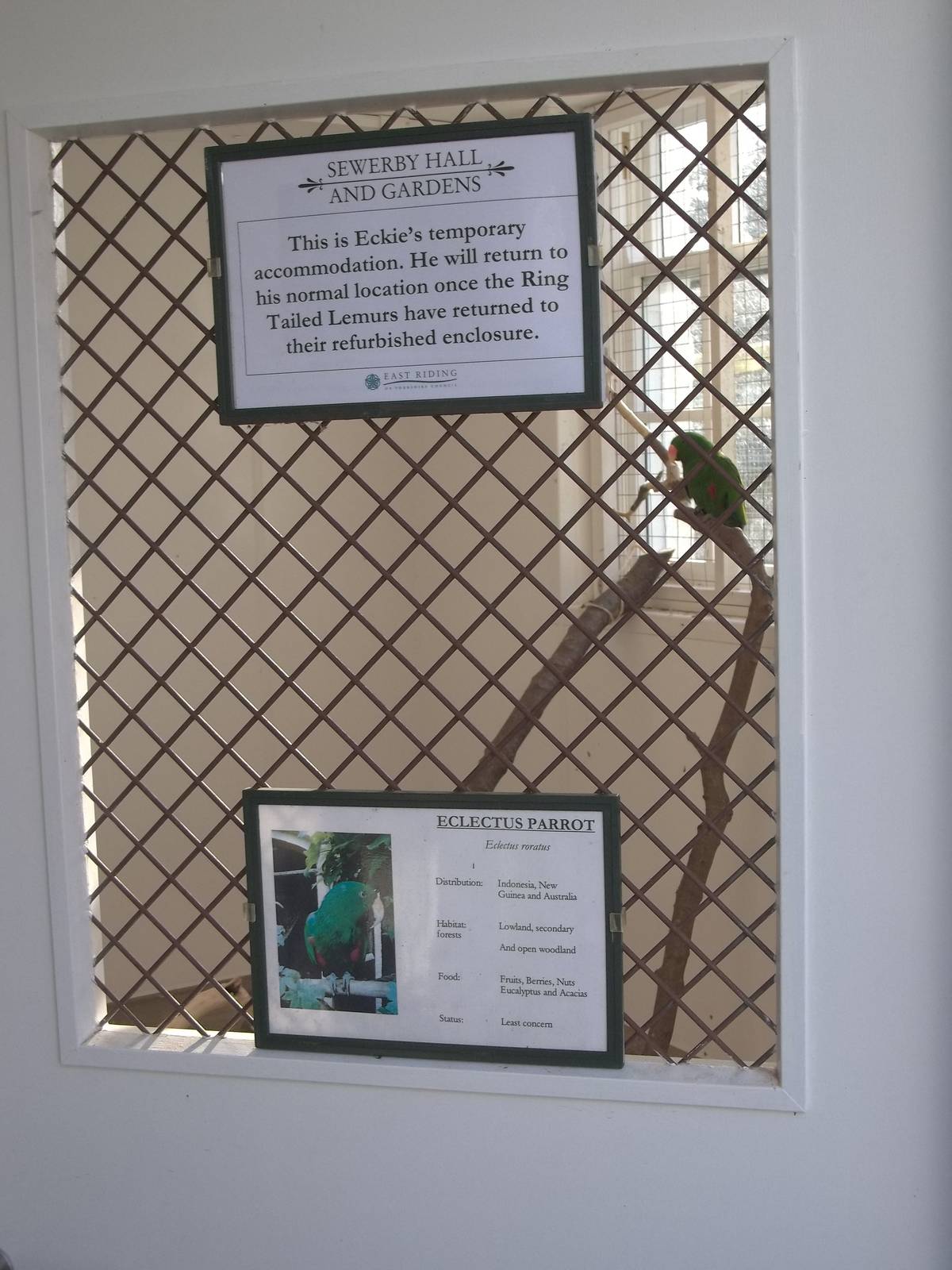 Temporary home for Eckie, 10th October 2014