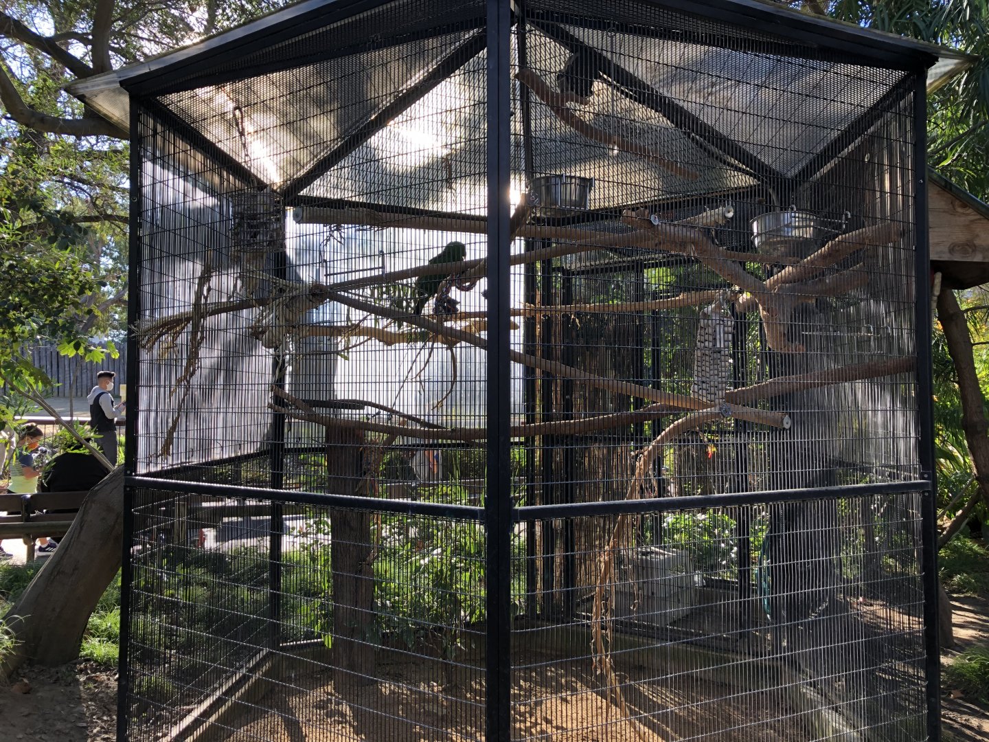 Temporary parrot exhibit