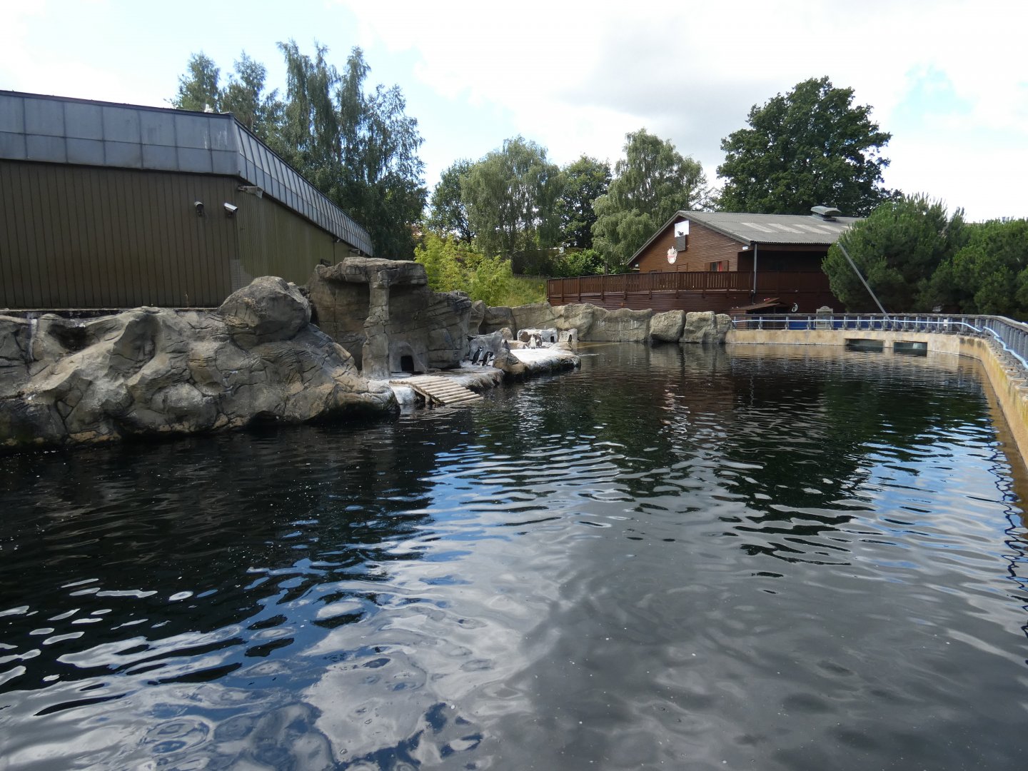 Temporary Penguin enclosure