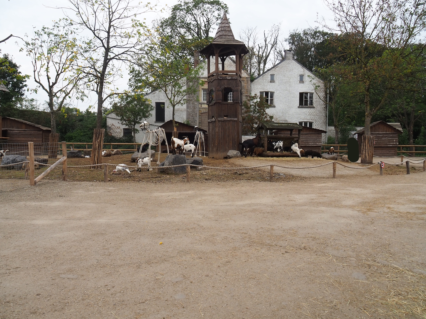 Temporary petting zoo paddock, 2023-10-13