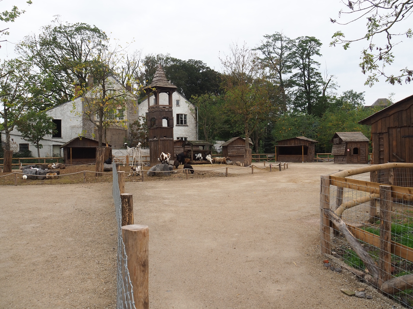 Temporary petting zoo paddock, 2023-10-13
