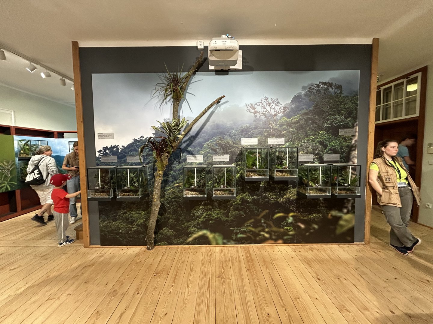 Temporary Poison Dart Frog Exhibit