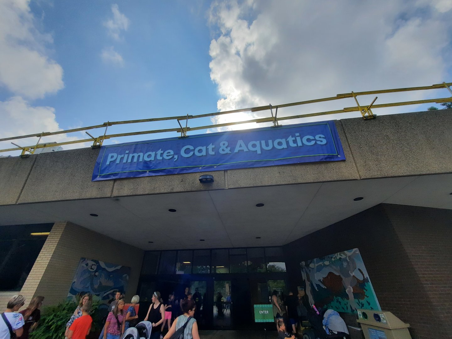 Temporary Primate Cat and Aquatic sign