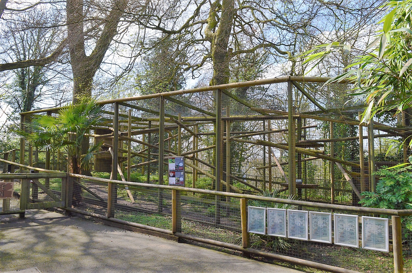 Temporary red panda enclosure