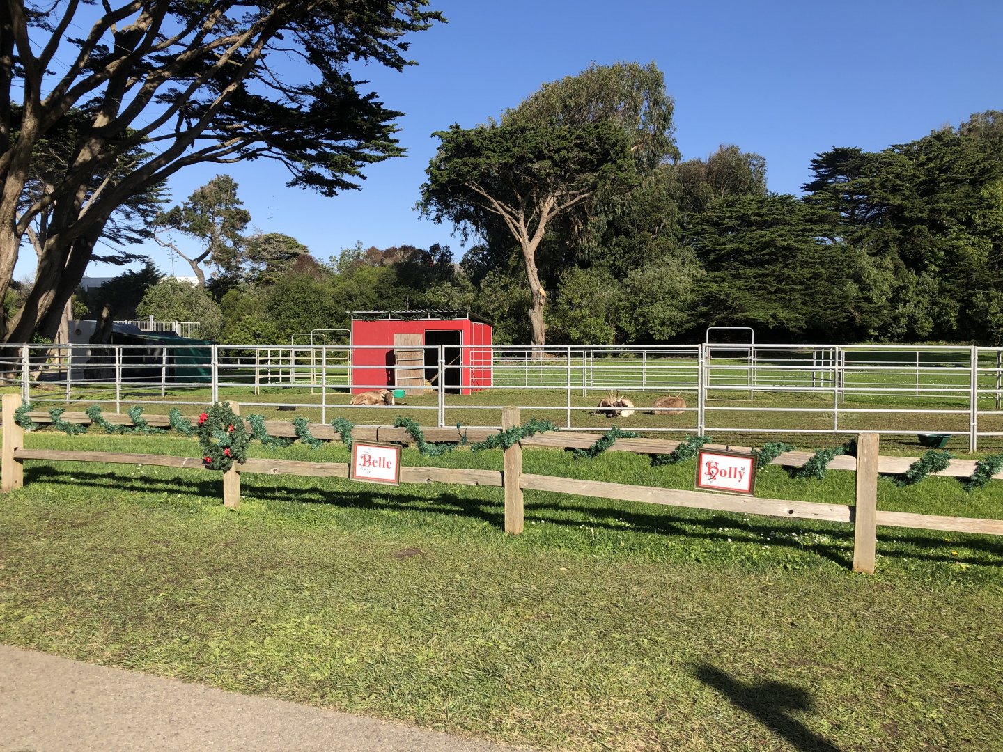 Temporary reindeer paddock