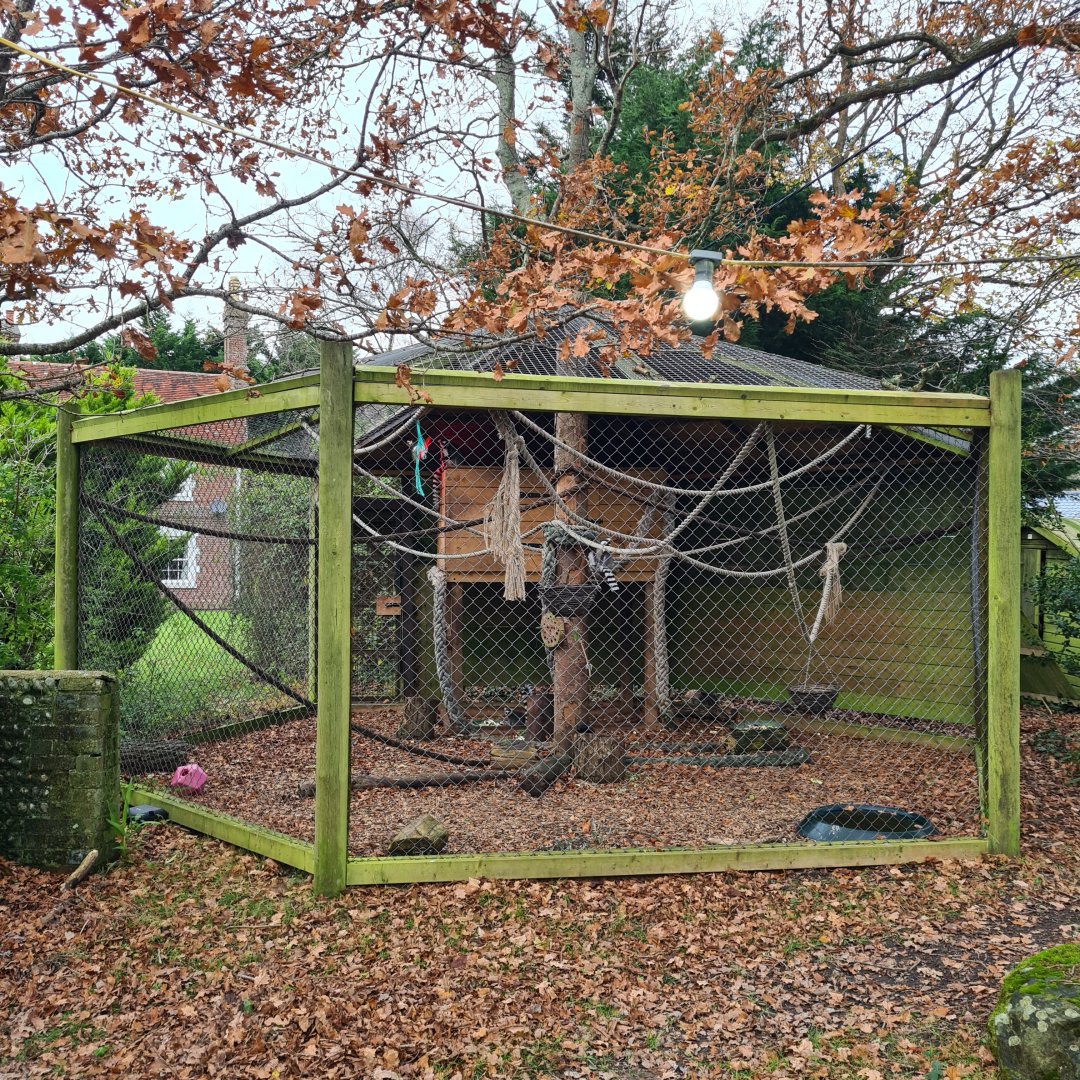 Temporary Ring Tailed Lemur Enclosure, Knockhatch