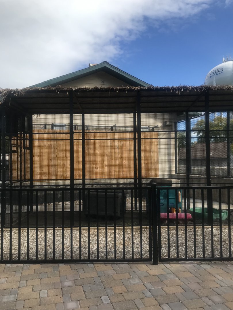 Temporary River Otter Exhibit