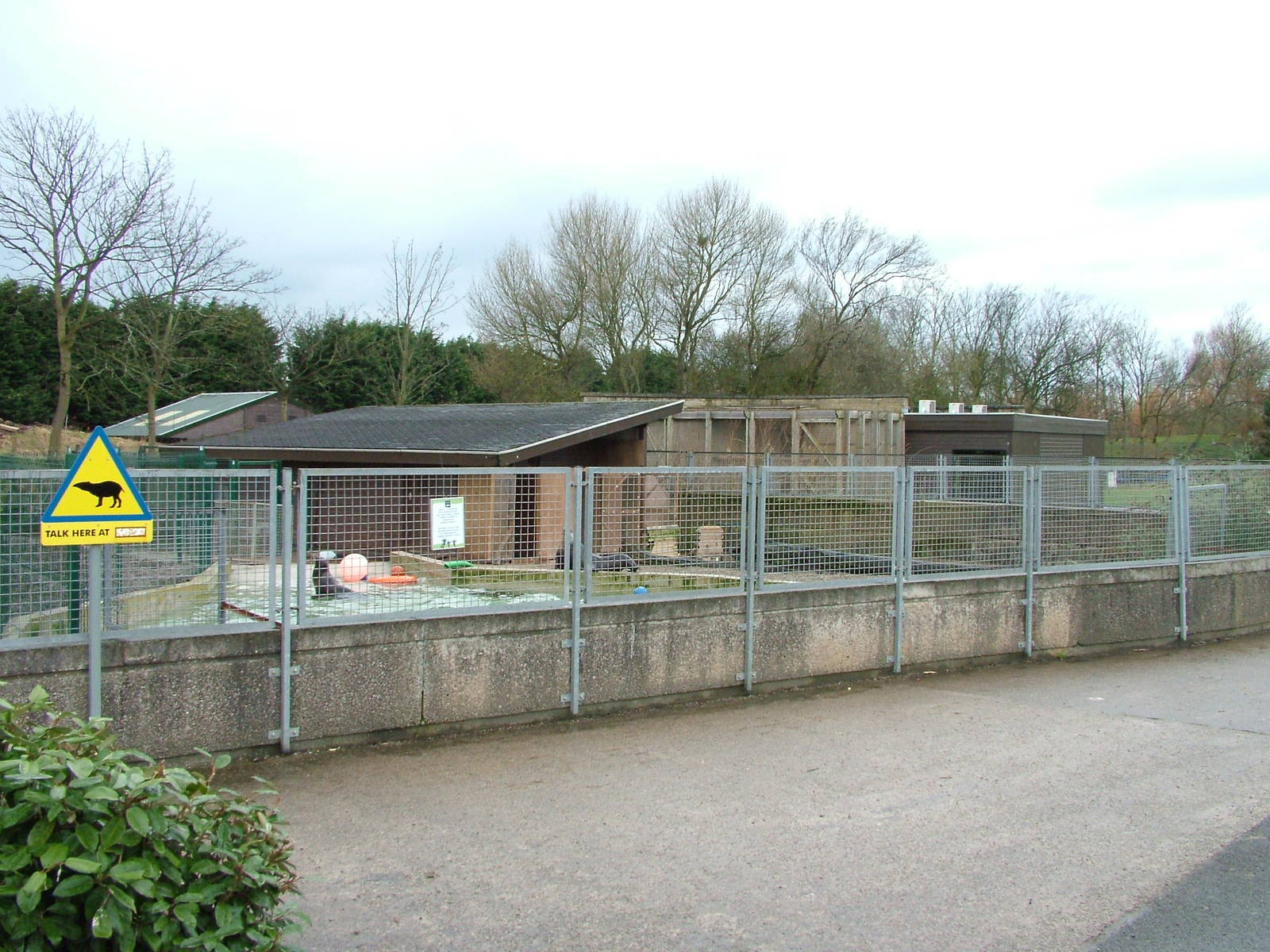 Temporary sea lion pool at Blackpool 26/03/10
