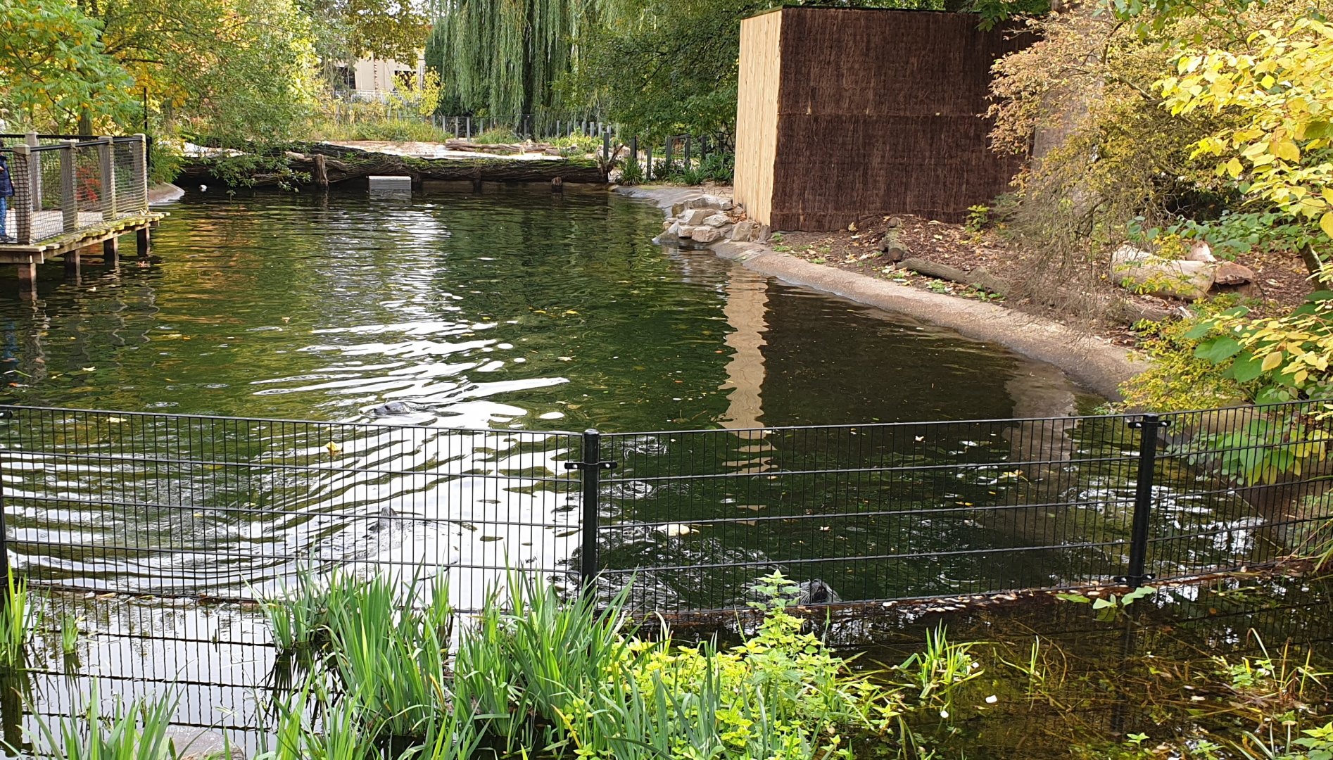 Temporary Seal-enclosure