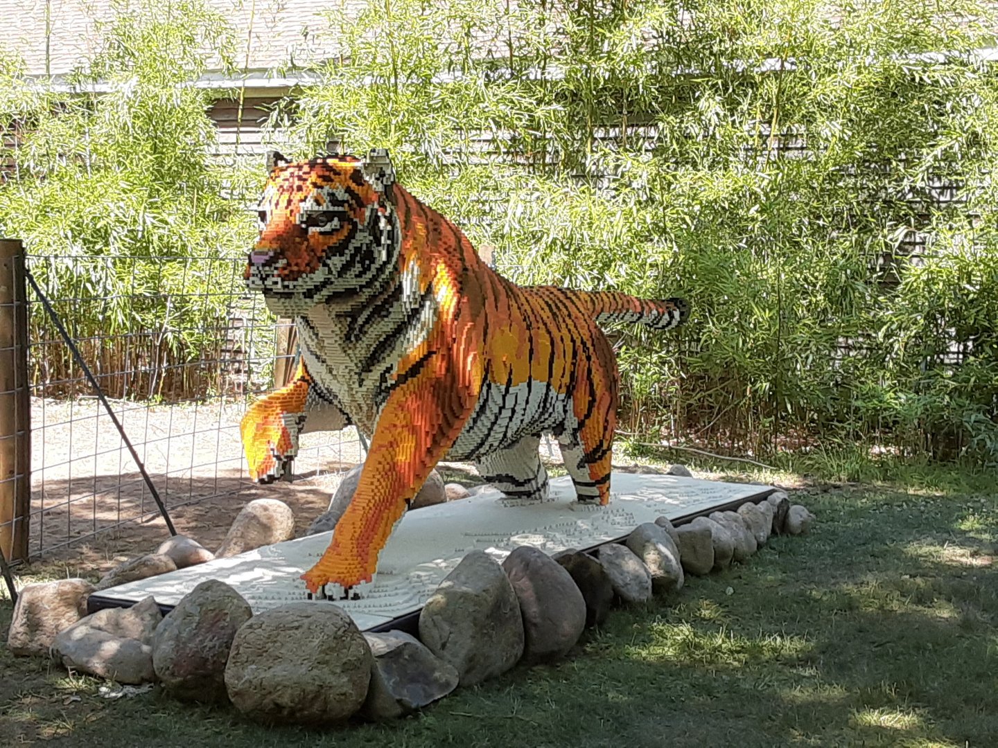 Temporary Siberian Tiger Statue