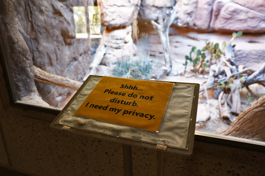 temporary sign at ocelot