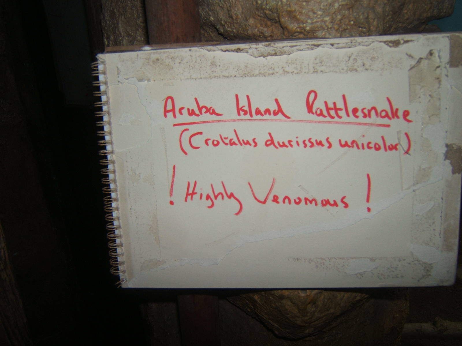 Temporary sign in the Nocturnal House