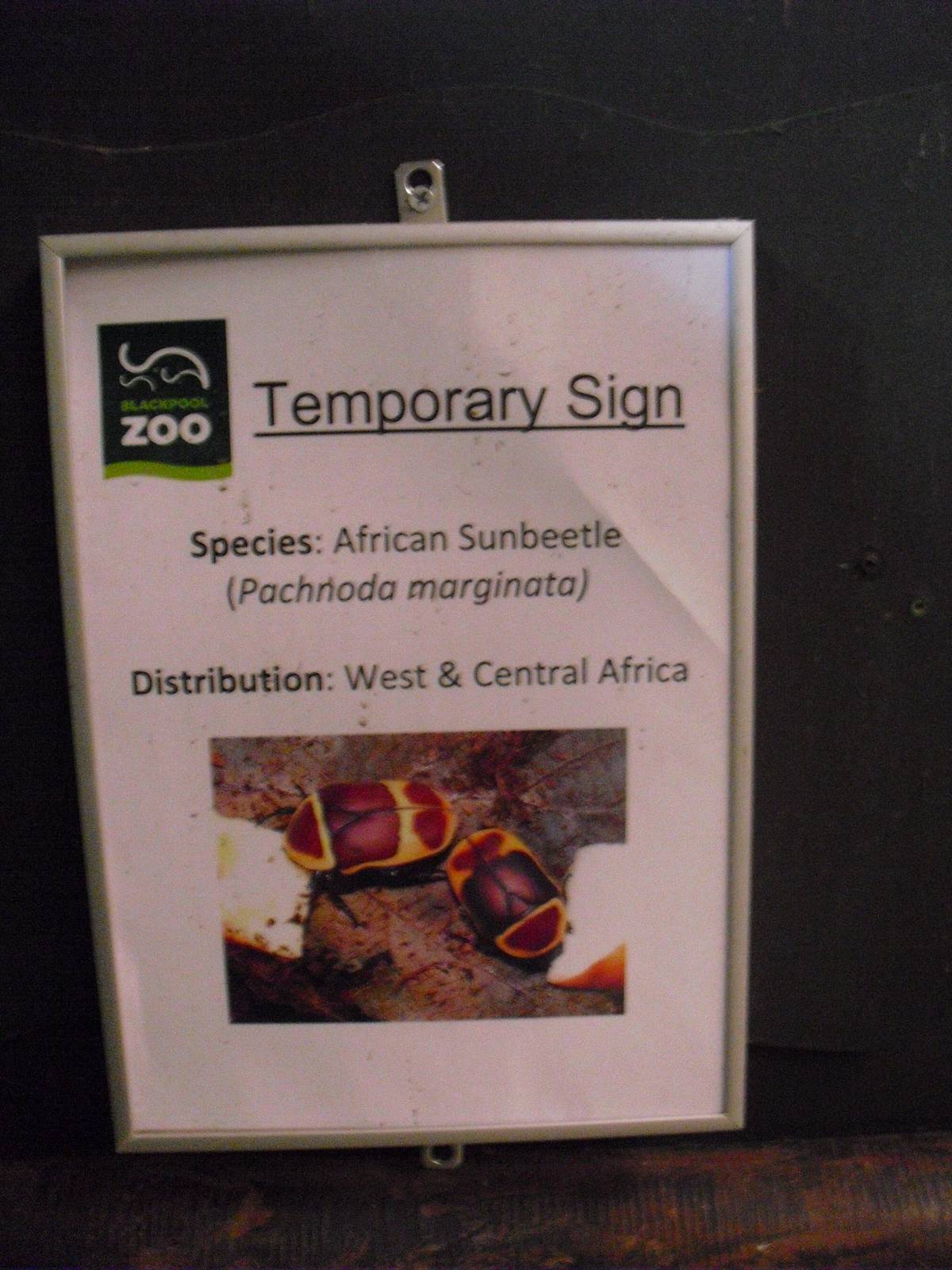 Temporary Sign within the Elephant House - 01/10/2011