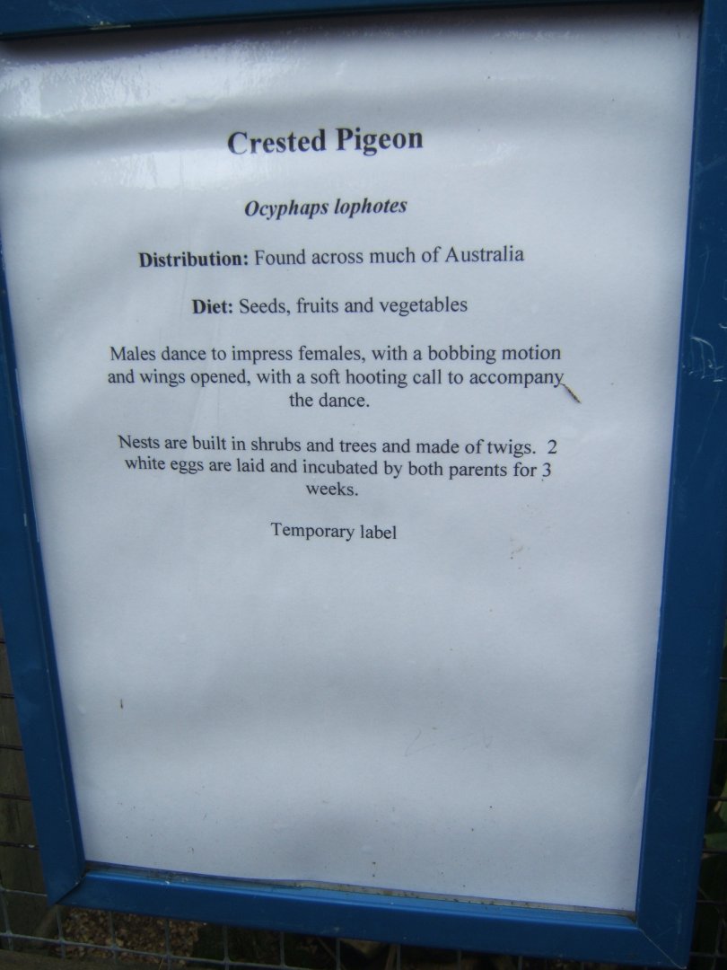 Temporary signage 10/09/2017