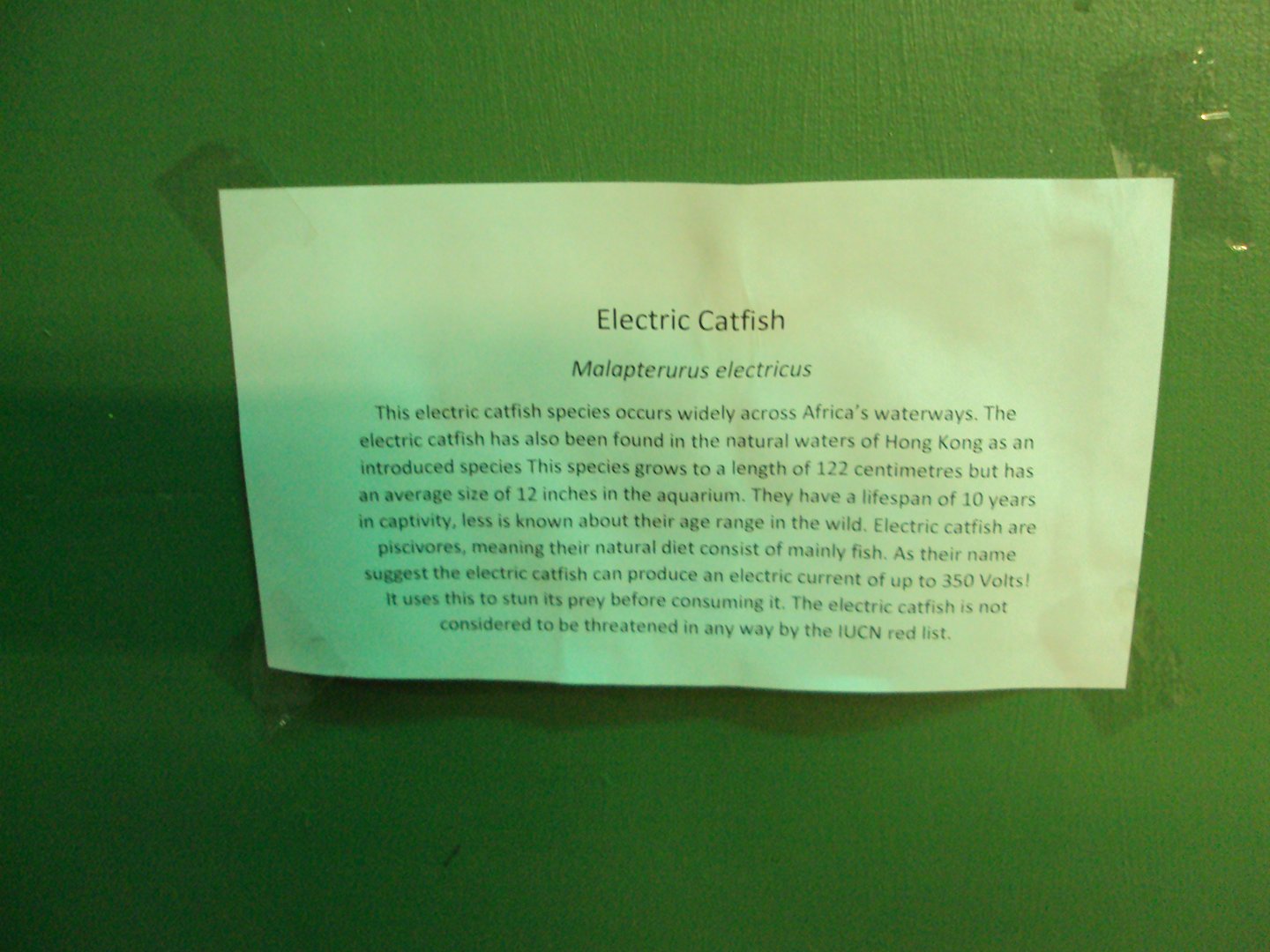 Temporary signage 28/05/2019