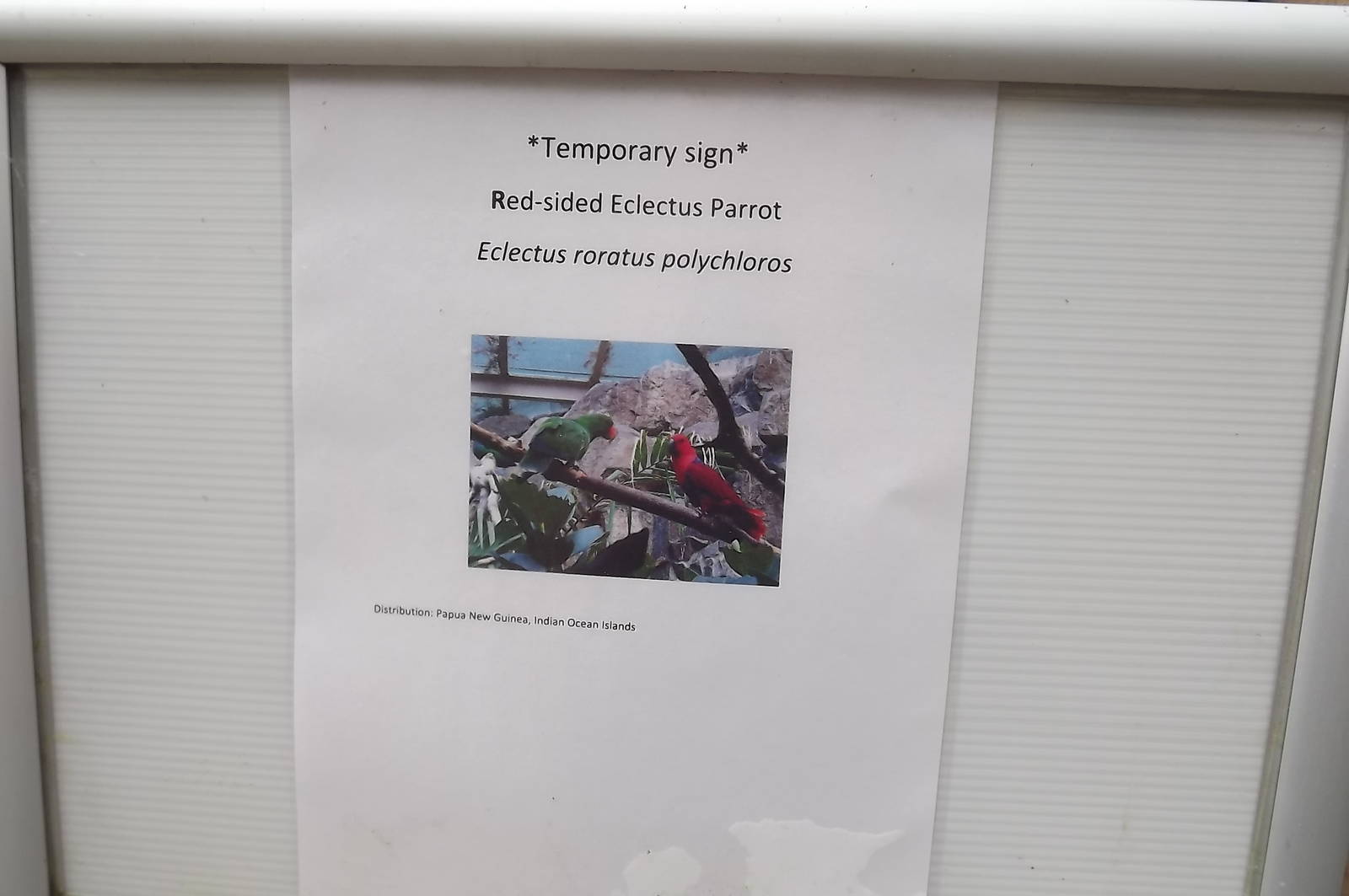 Temporary signage at Blackpool Zoo 14/07/12