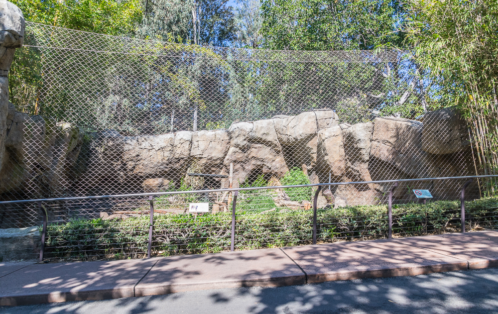 Temporary Tiger exhibit