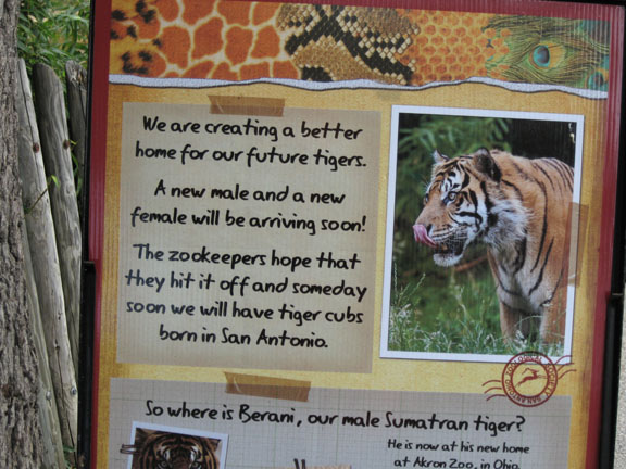 temporary tiger sign