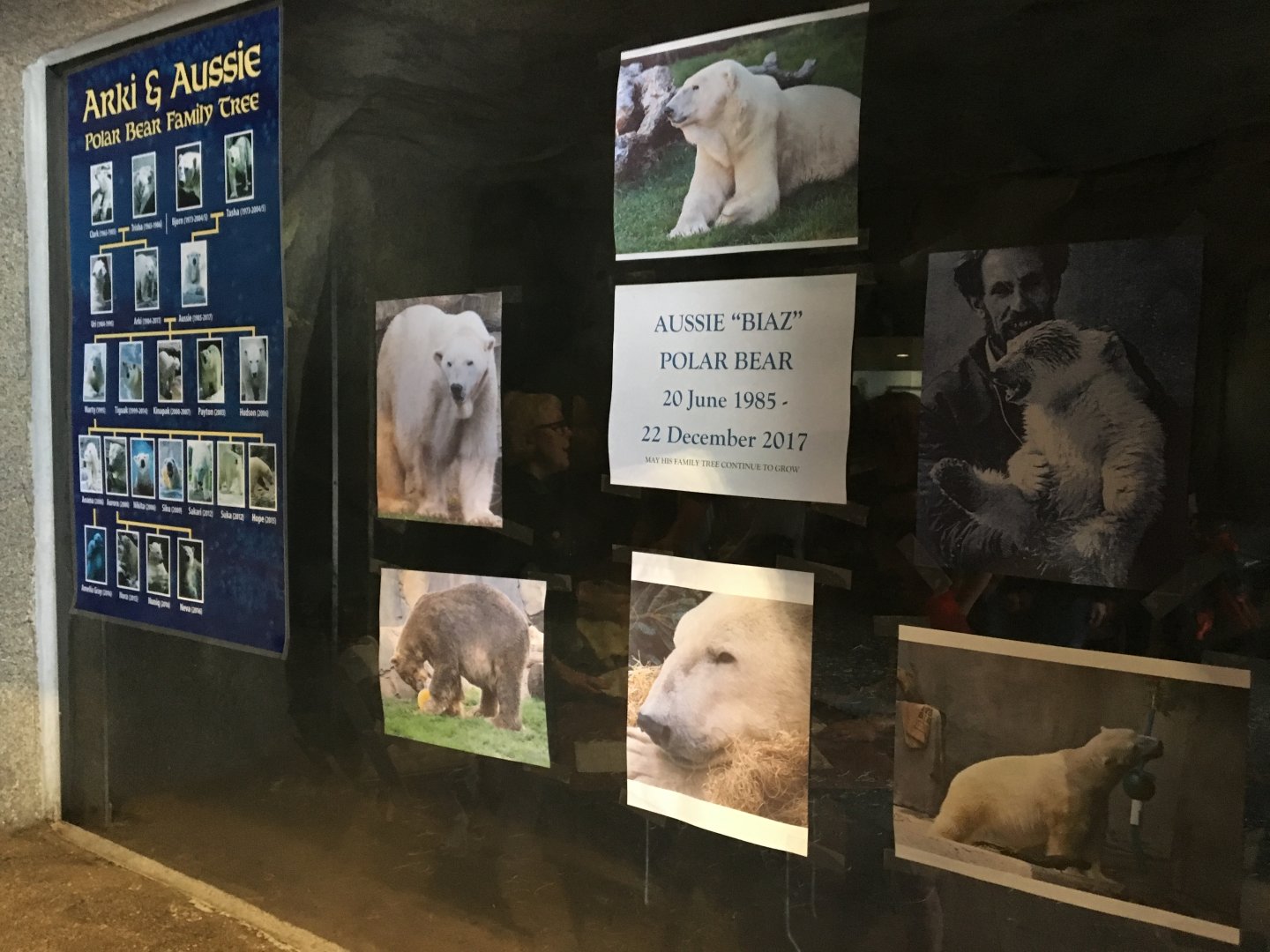 Temporary tribute to Aussie