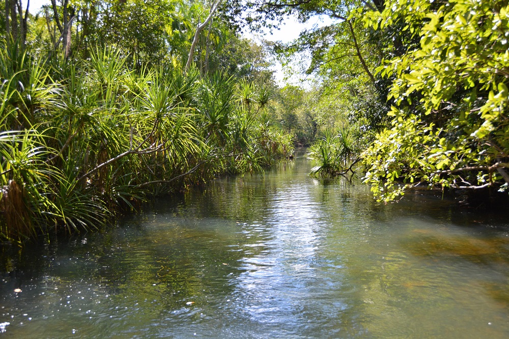 Tempting place for a dip?   Lots of crocodiles!