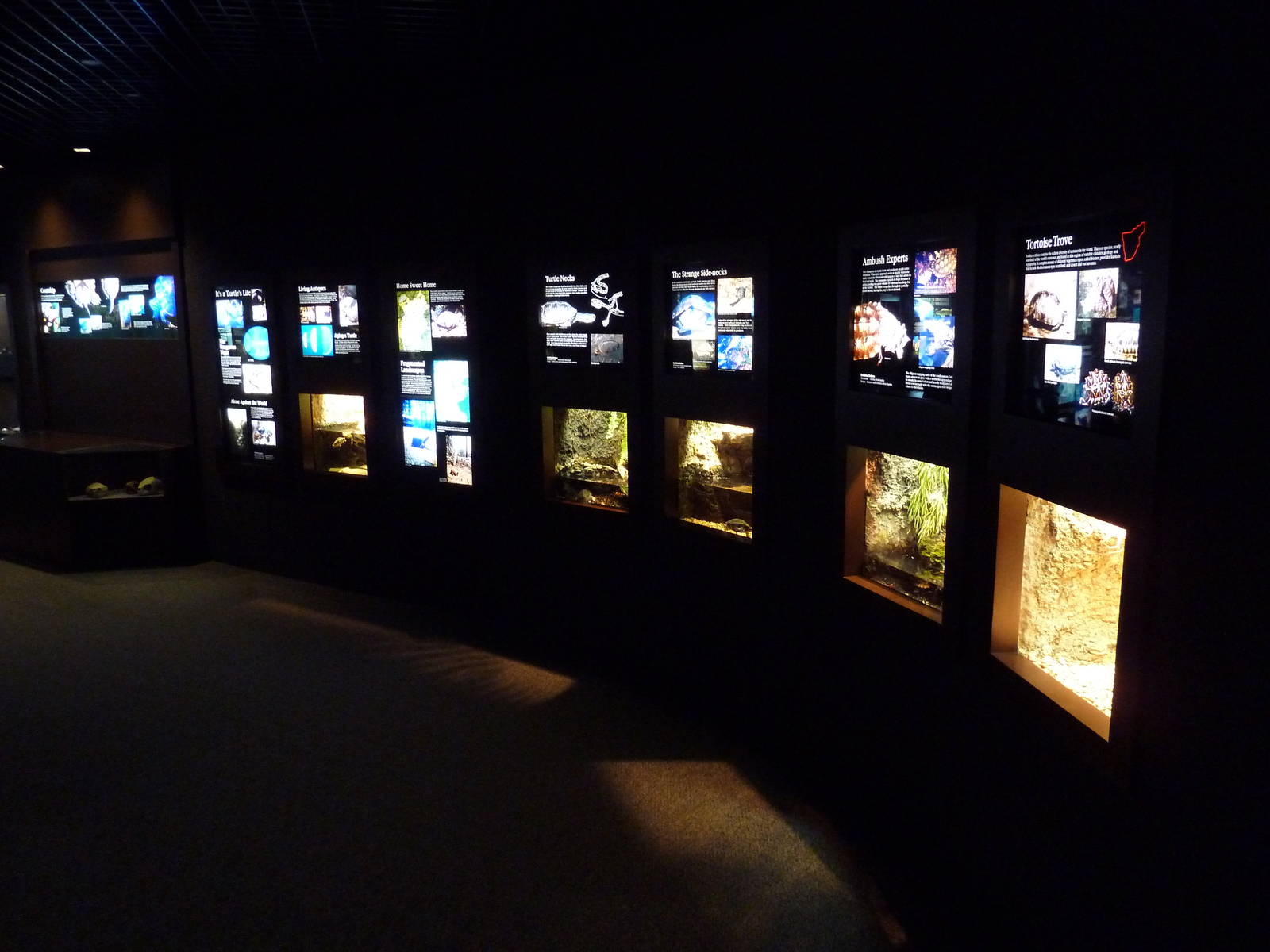 Tennessee River Gallery - Turtle Tanks