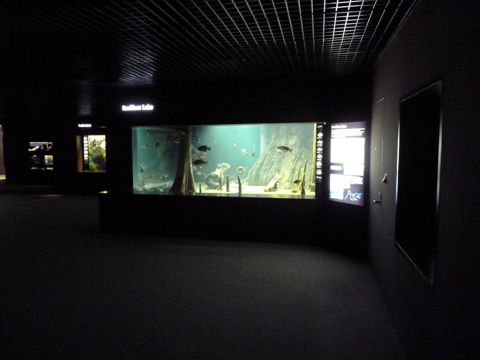 Tennessee River Gallery