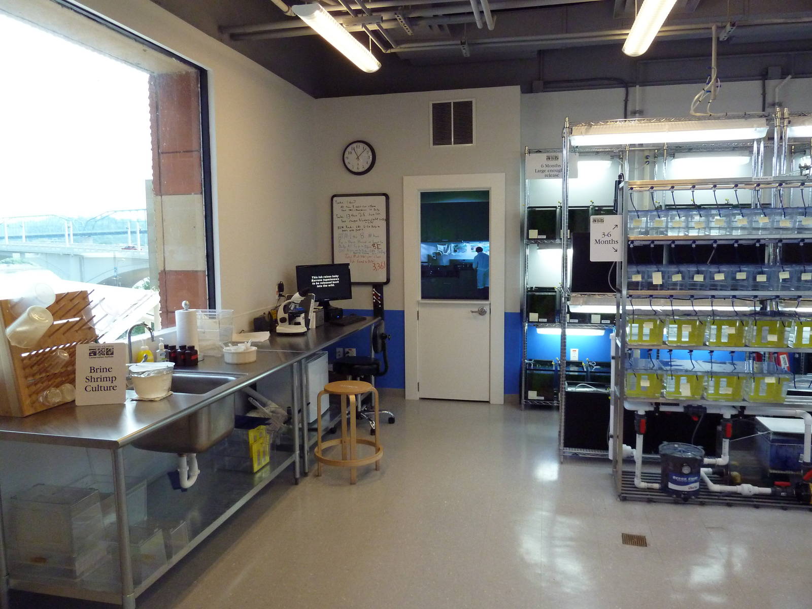 Tennessee River Gallery