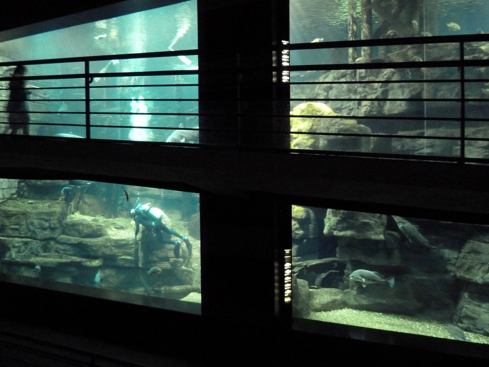 Tennessee River Gallery