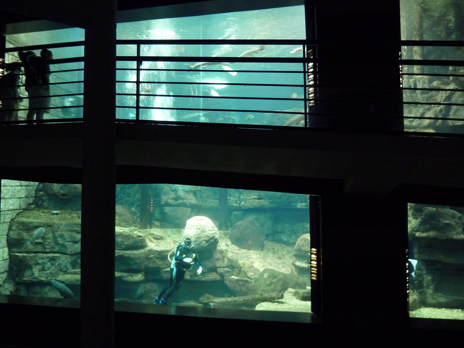 Tennessee River Gallery