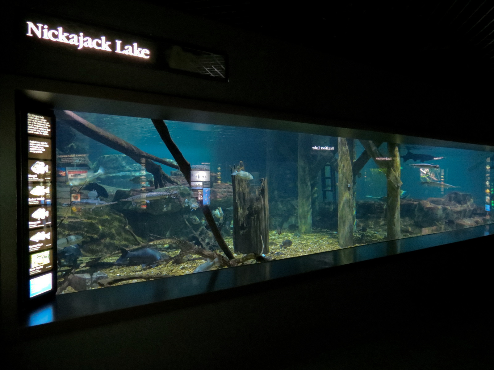 Tennessee River - Nickajack Lake Exhibit