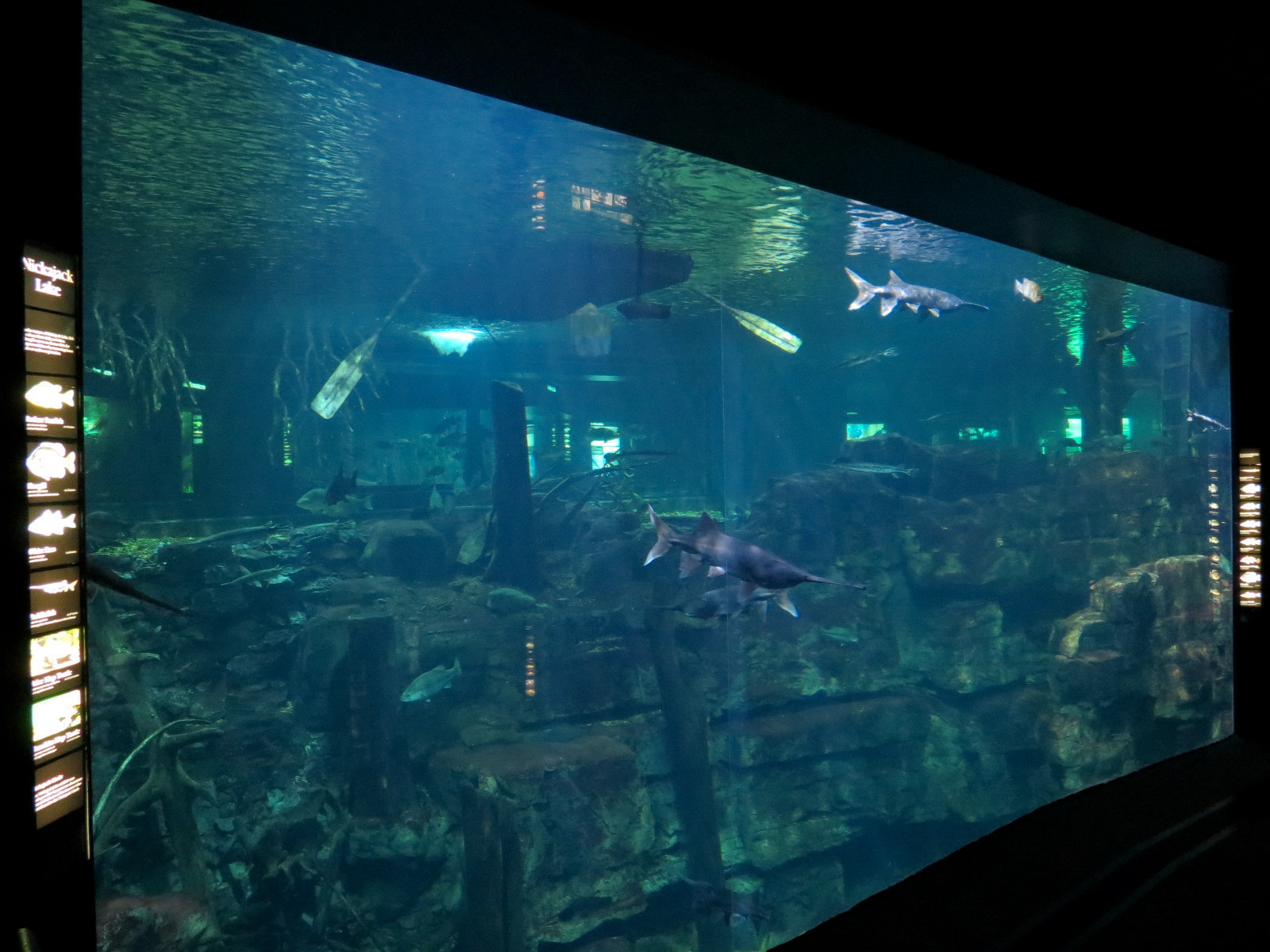 Tennessee River - Nickajack Lake Exhibit