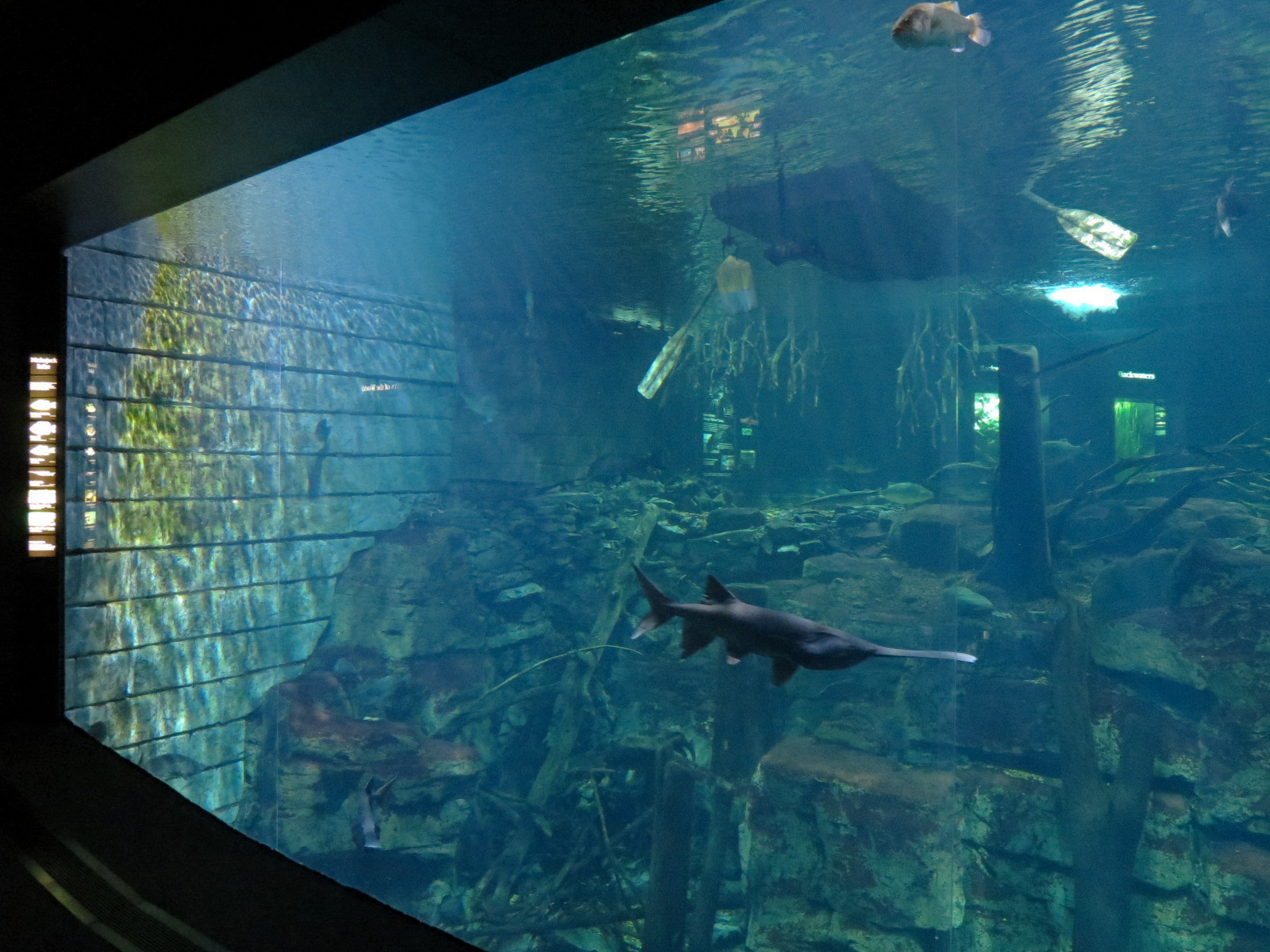 Tennessee River - Nickajack Lake Exhibit