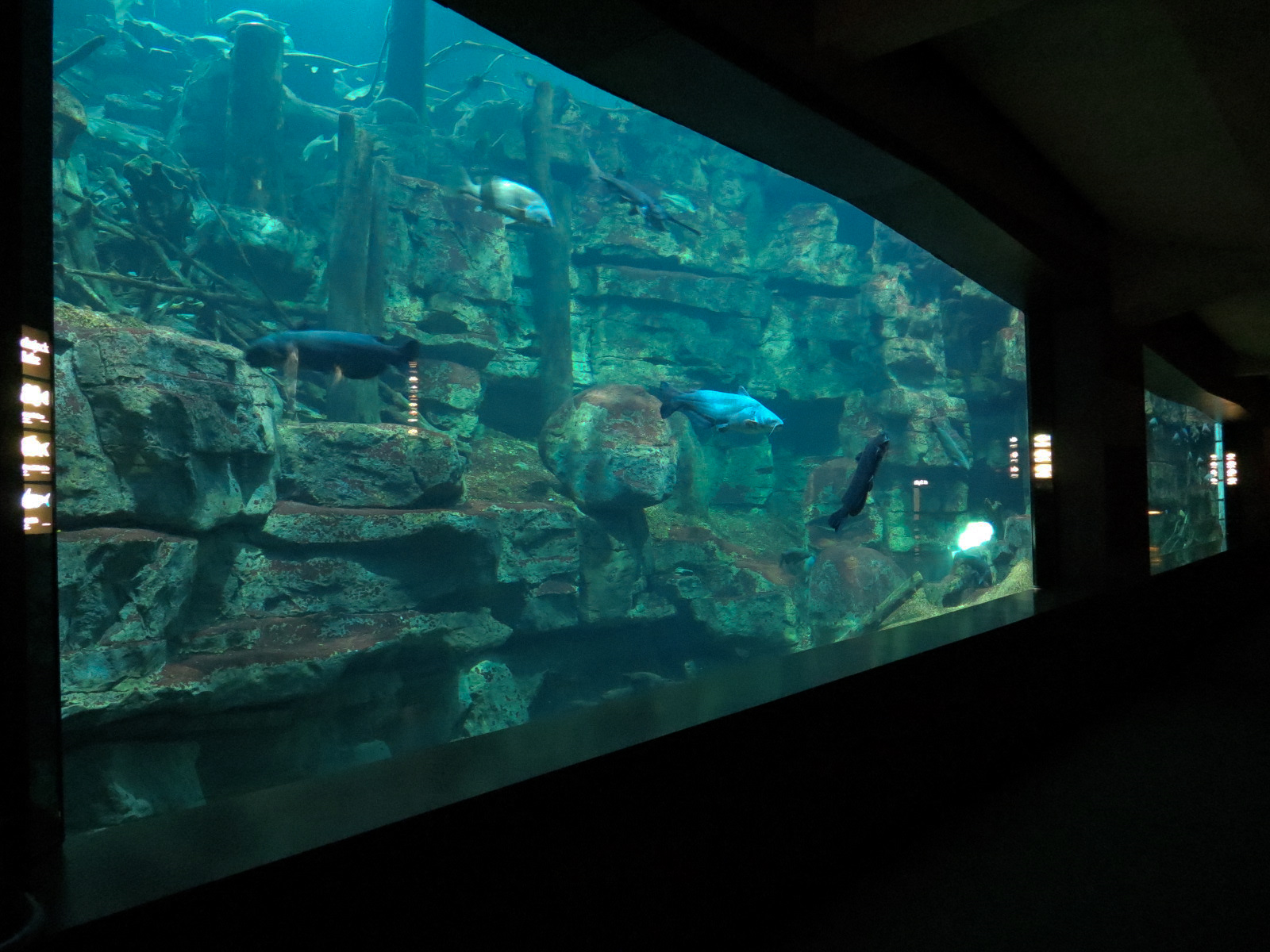 Tennessee River - Nickajack Lake Exhibit