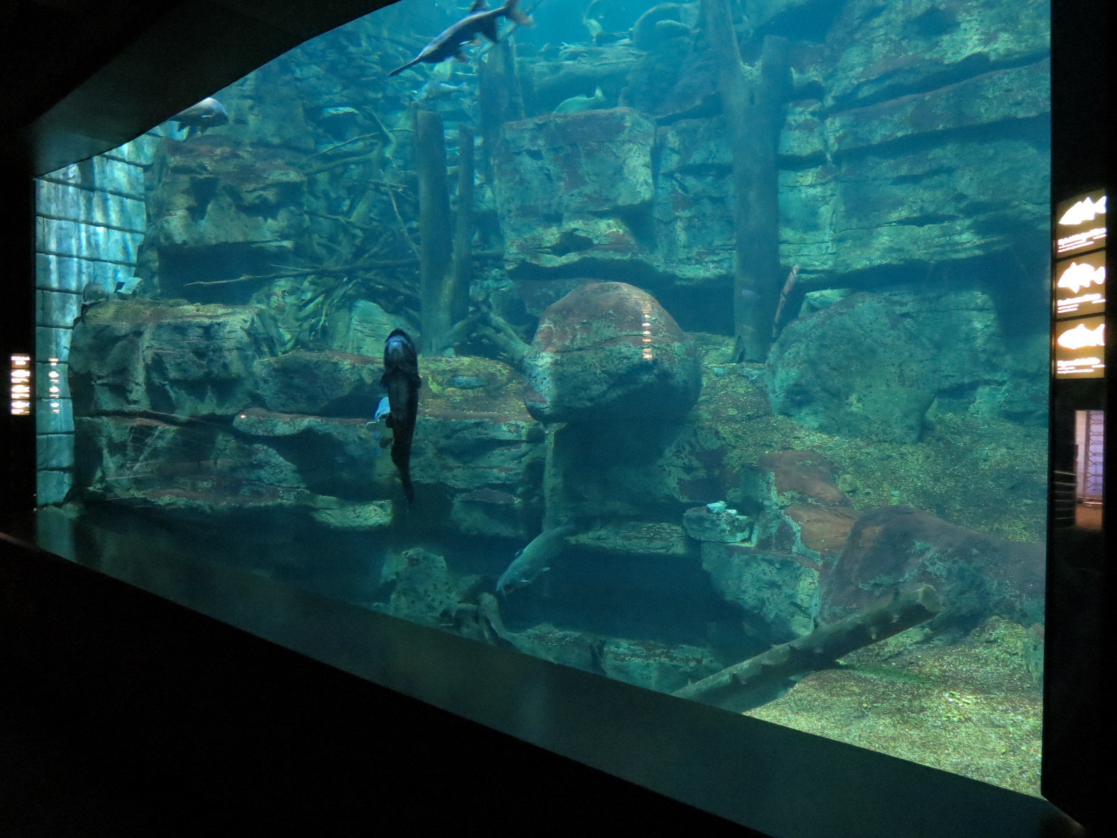 Tennessee River - Nickajack Lake Exhibit