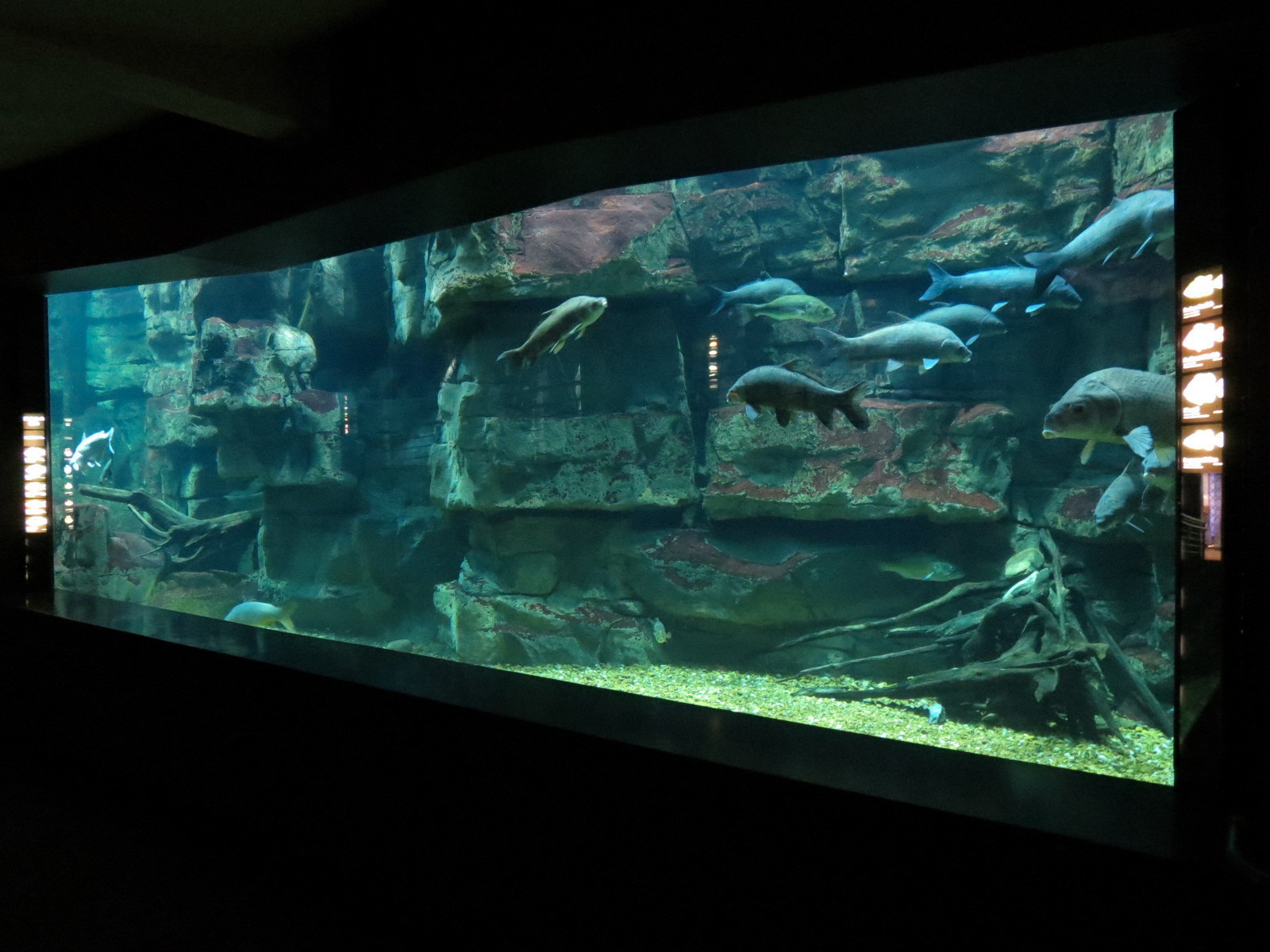 Tennessee River - Nickajack Lake Exhibit