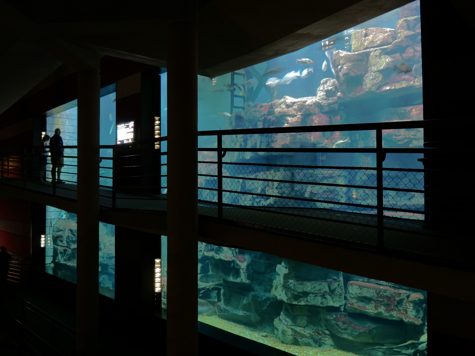 Tennessee River - Nickajack Lake Exhibit