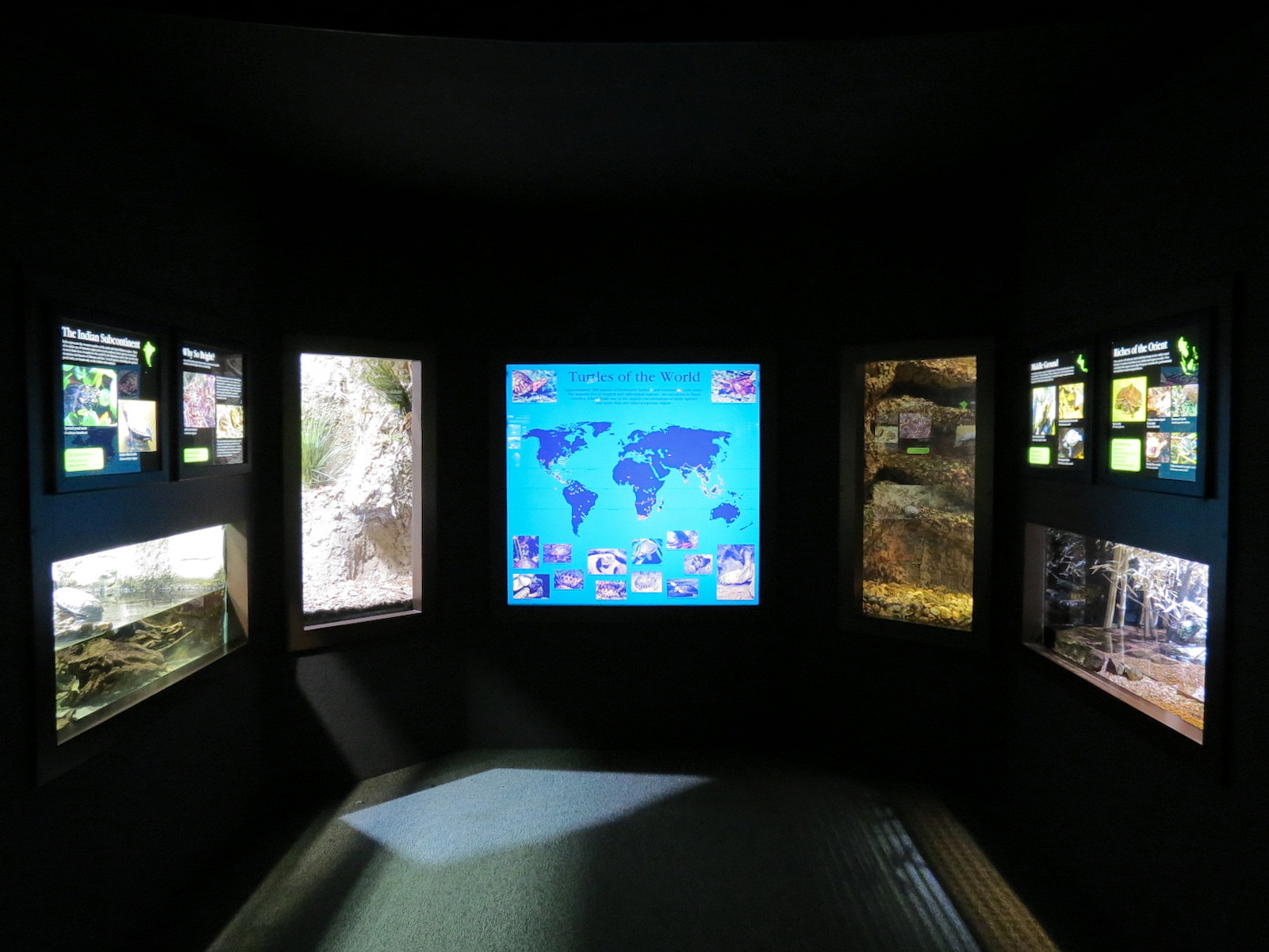 Tennessee River - Turtle Gallery