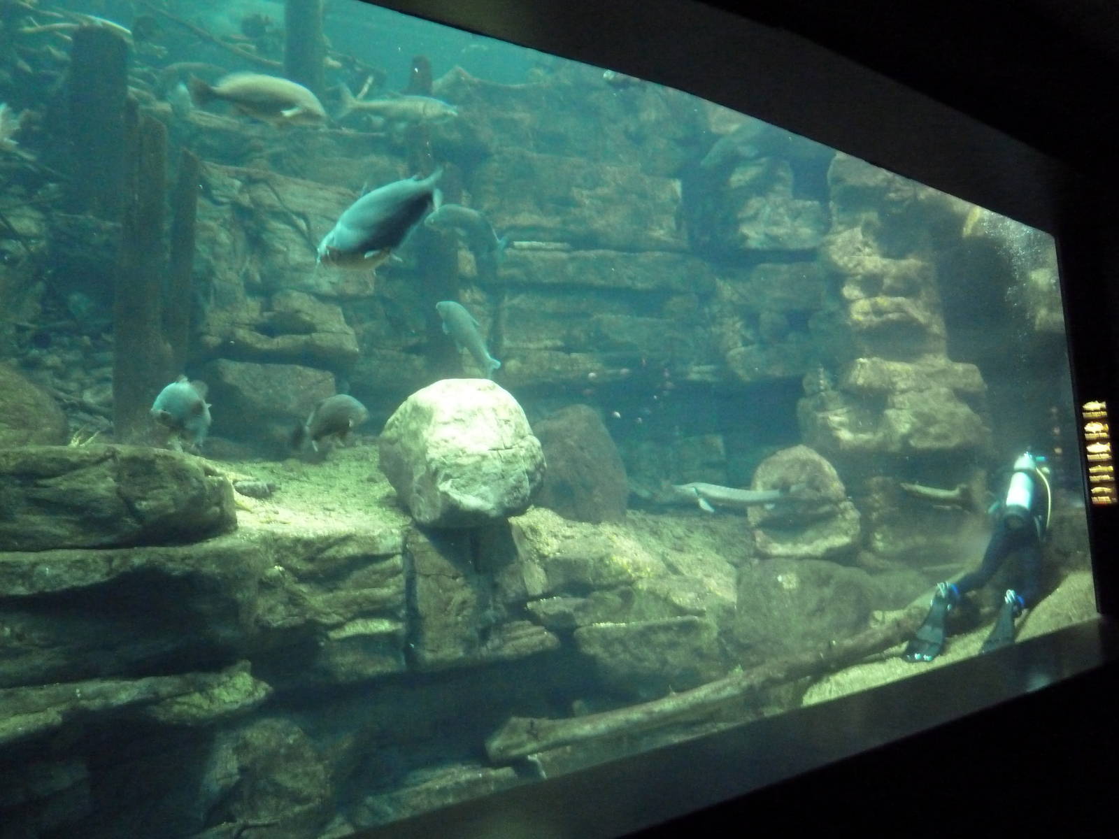 Tennessee Rivers Gallery