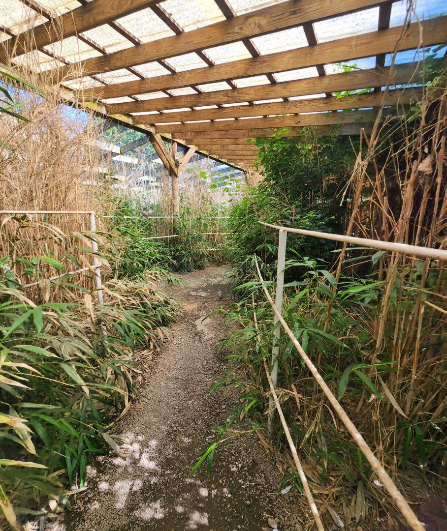 Tennessee Safari Park - Australian aviary pathway